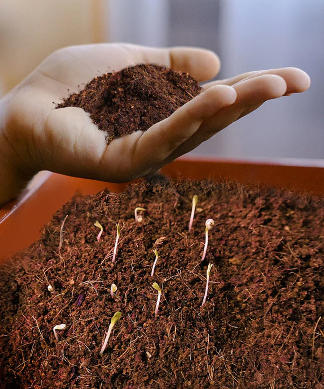 EcoPeat Garden Blend