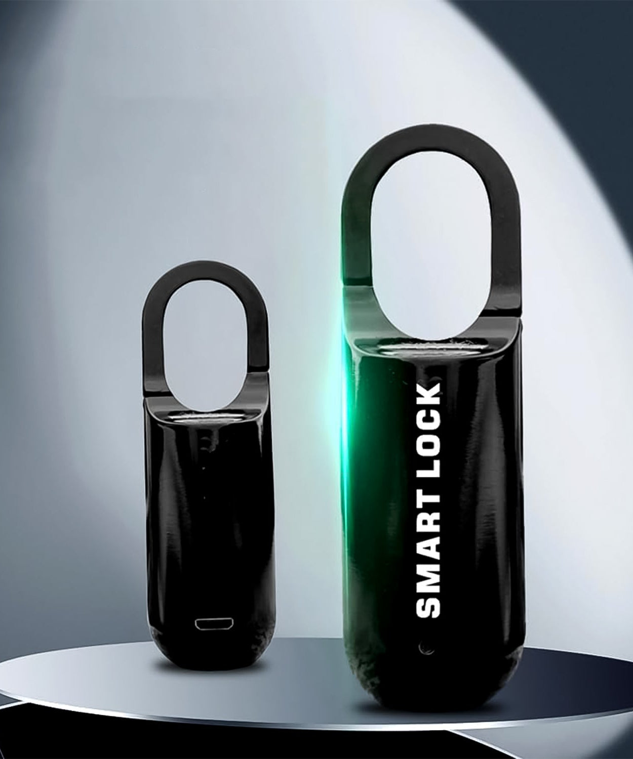 LockSense Fingerprint