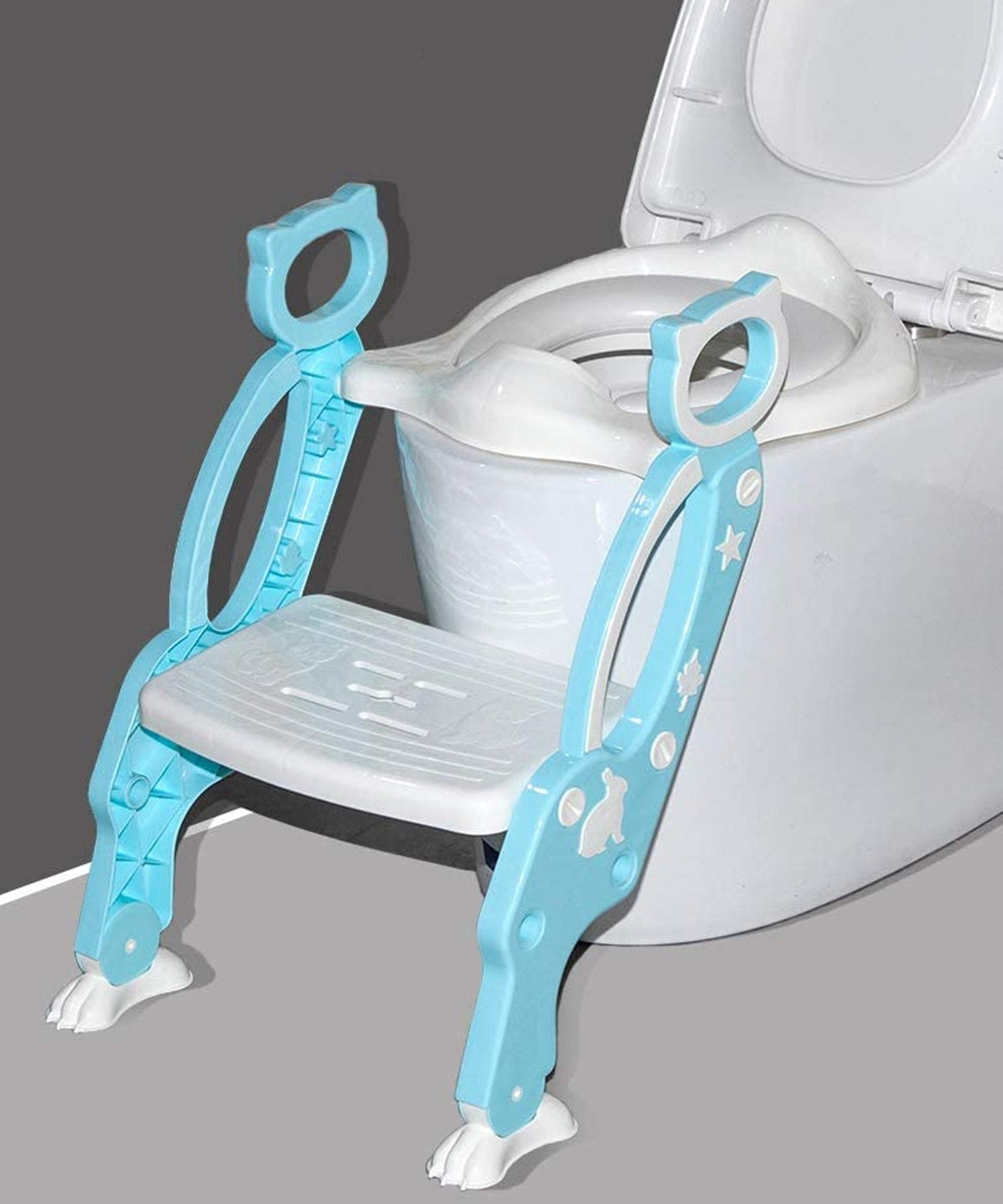 Potty training seat with step stool ladder for toddlers