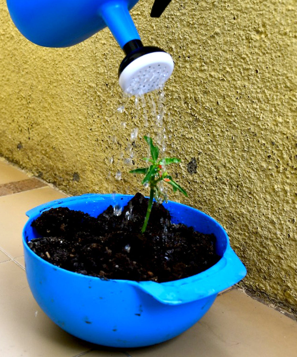 Manual sprayer for large volumes