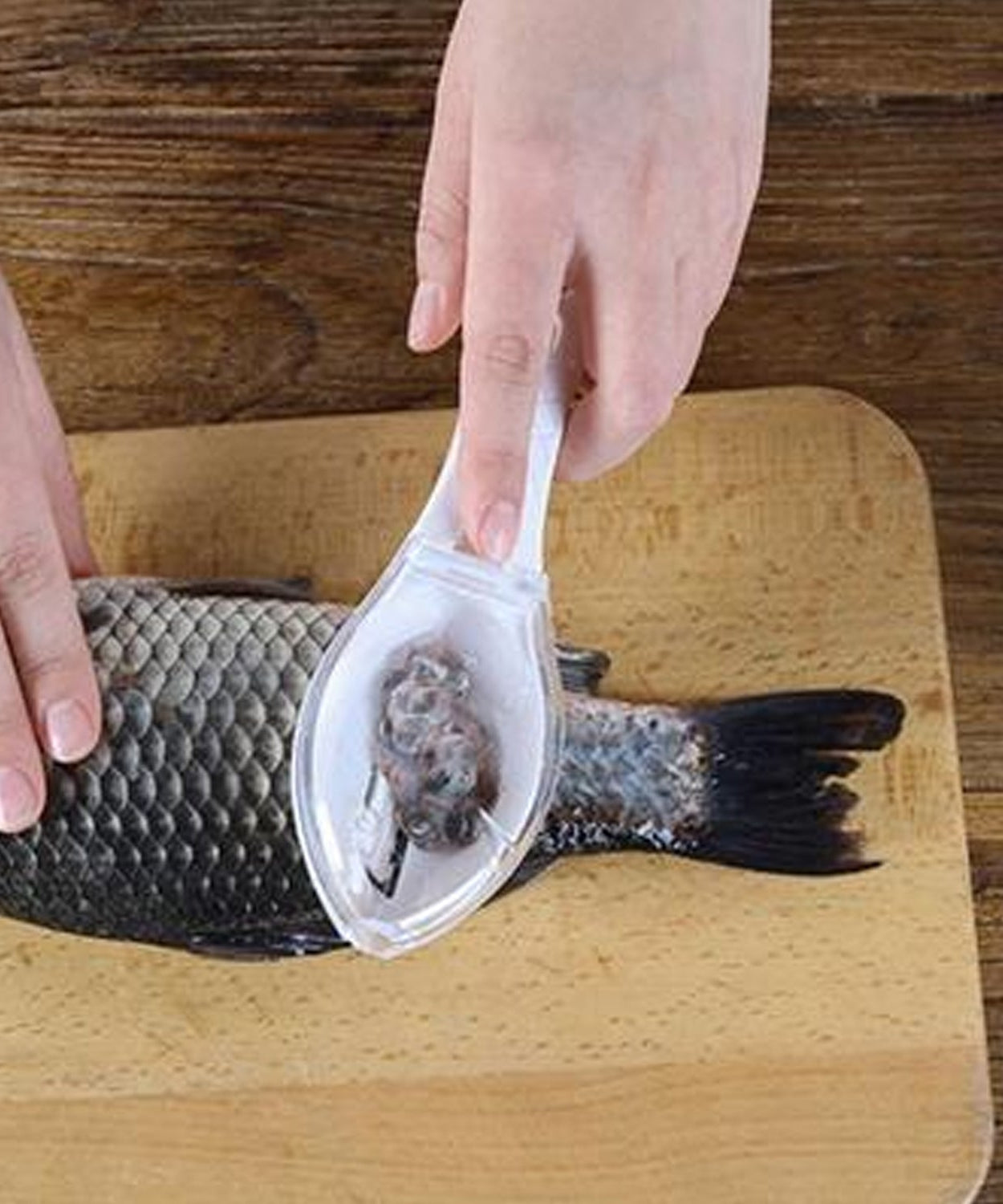 Fish scraper tool with ergonomic handle for easy use.