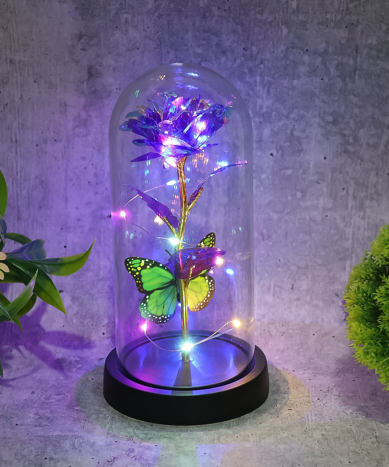 Charm Aura Butterfly Rose Gift