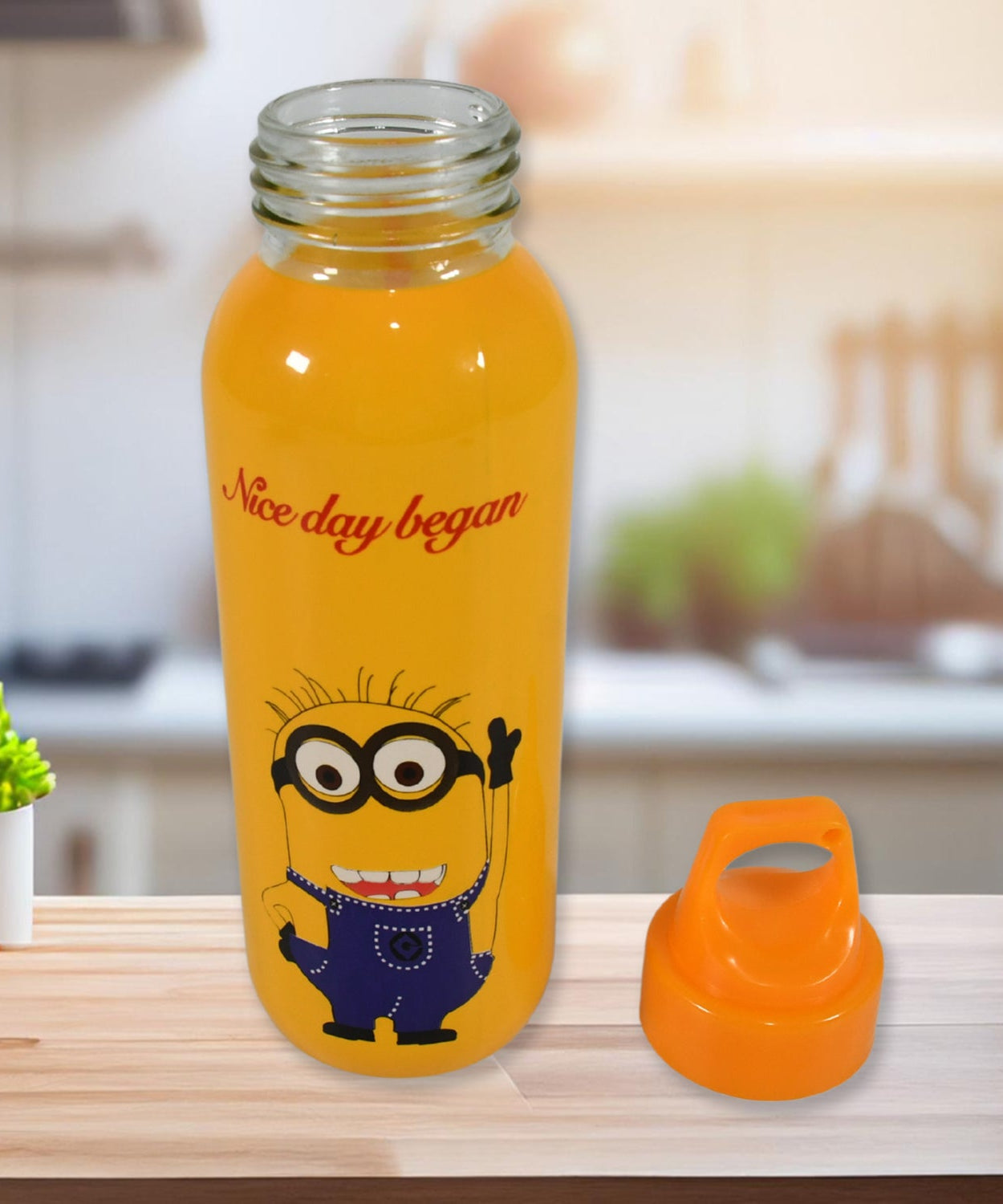 PORTABLE GLASS WATER BOTTLE, CREATIVE GLASS BOTTLE WITH GLASS WATER ( Mix Design)