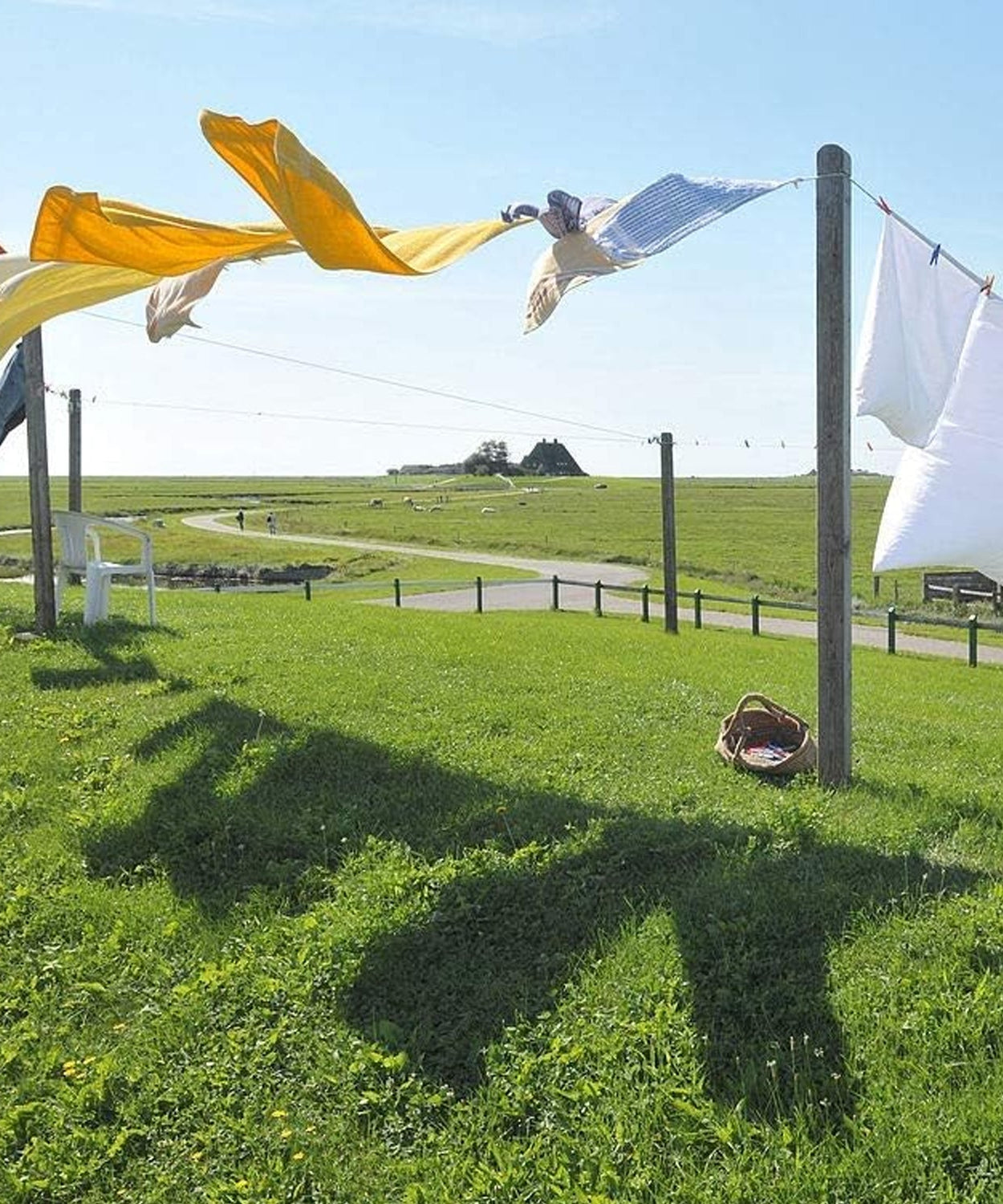 Strong wire for drying clothes and gardening