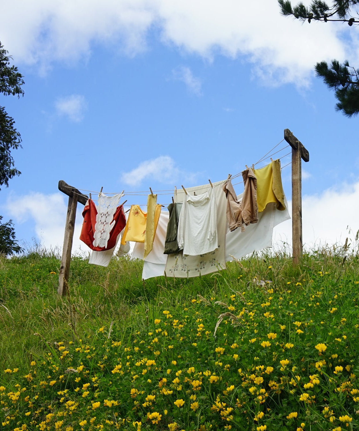 Agriculture and gardening wire