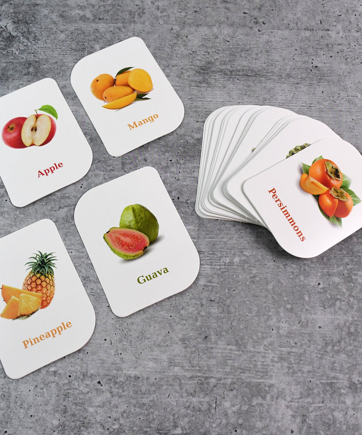 KidKraft Early Learner Educational Flashcards – 32 Birds