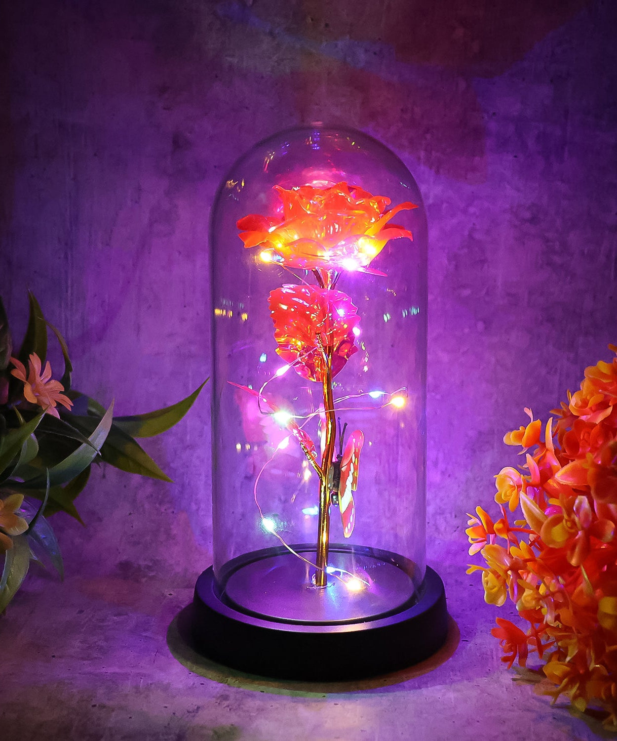 Elegant LED Eternal Rose in Plastic Dome (1 Pc / Battery Not included)