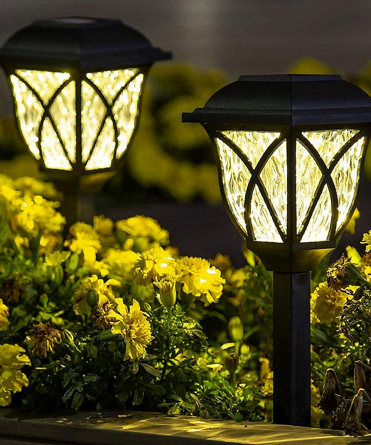 Solar light on grass