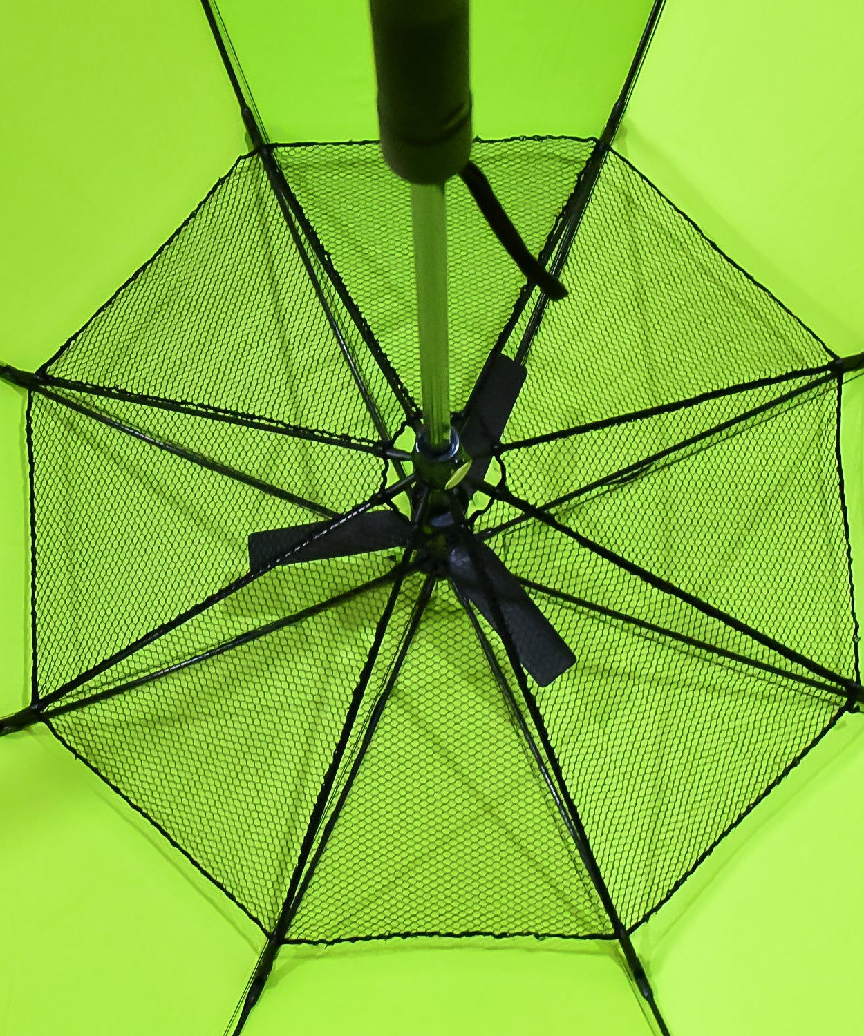 Cute Umbrella