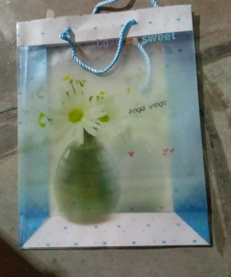Plastic Transparent Bag With Handle (1 Pc / 34 x 26 Cm)