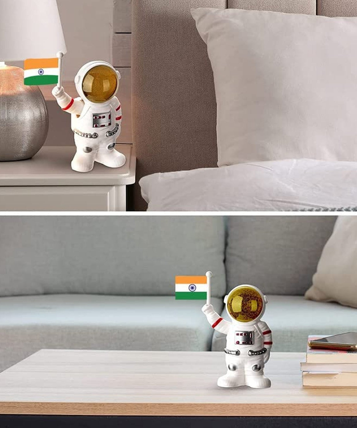Astronaut of India