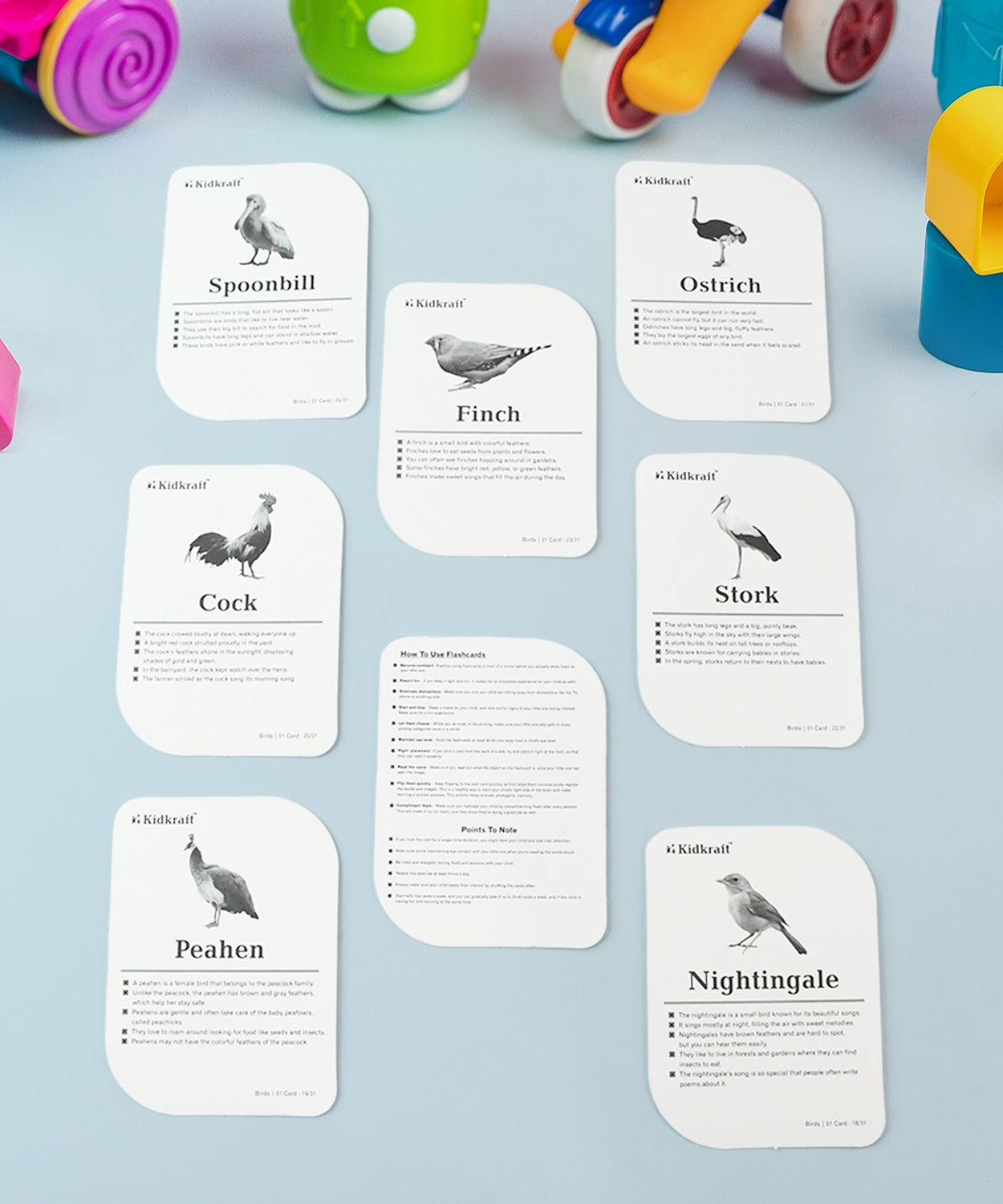 KidKraft Early Learner Educational Flashcards – 32 Birds