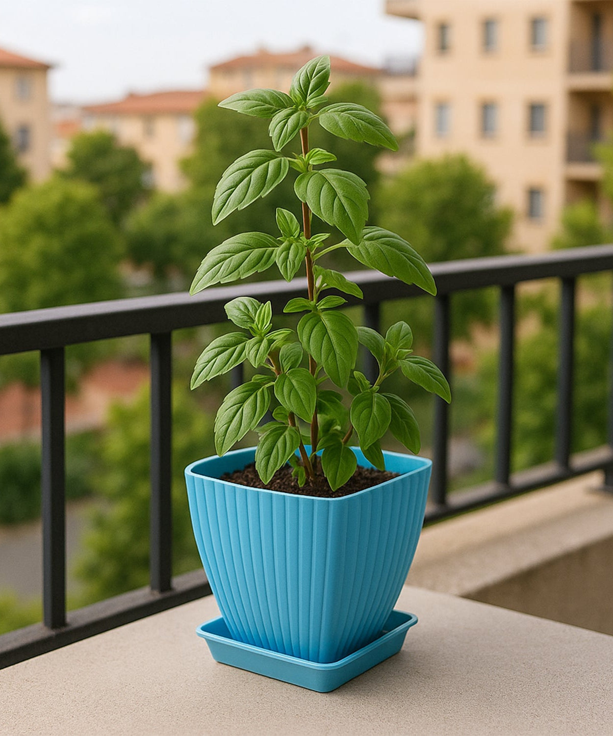 Set of 5 Square Decorative Plastic Flower Pots