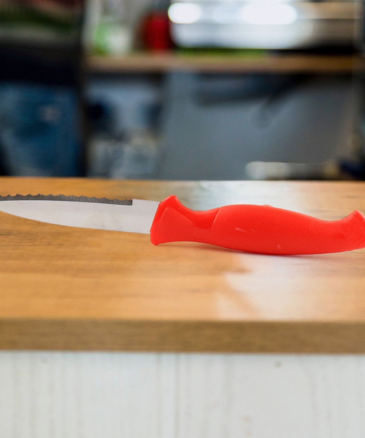 Stainless Steel Serrated Kitchen Knife (1 Pc)