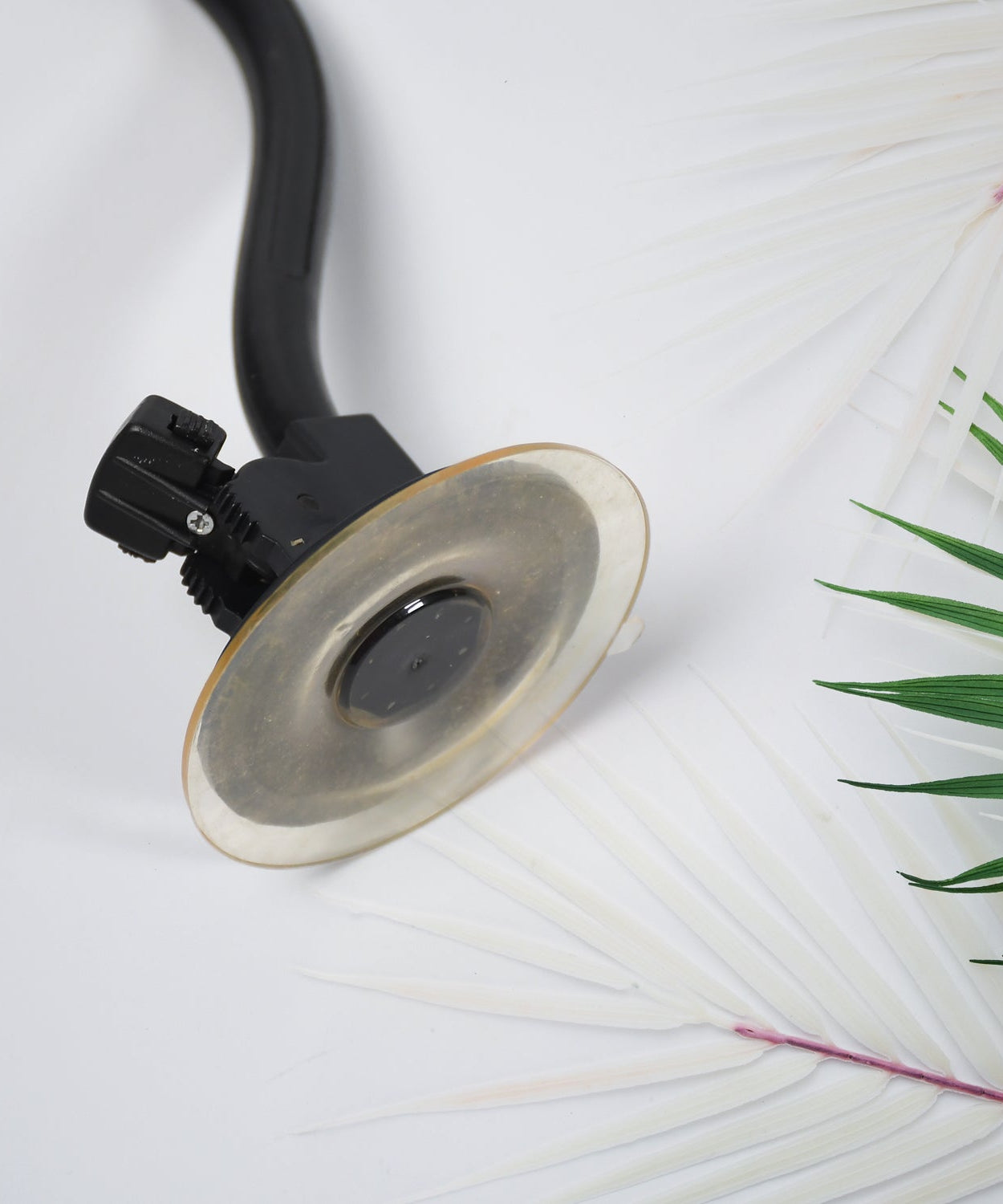 Dashboard phone holder