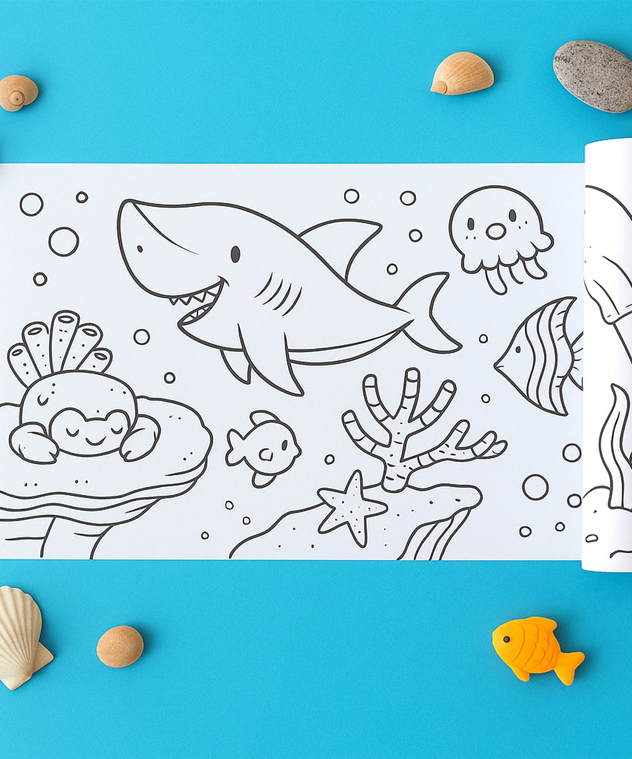 Brainy Color Kids Roll