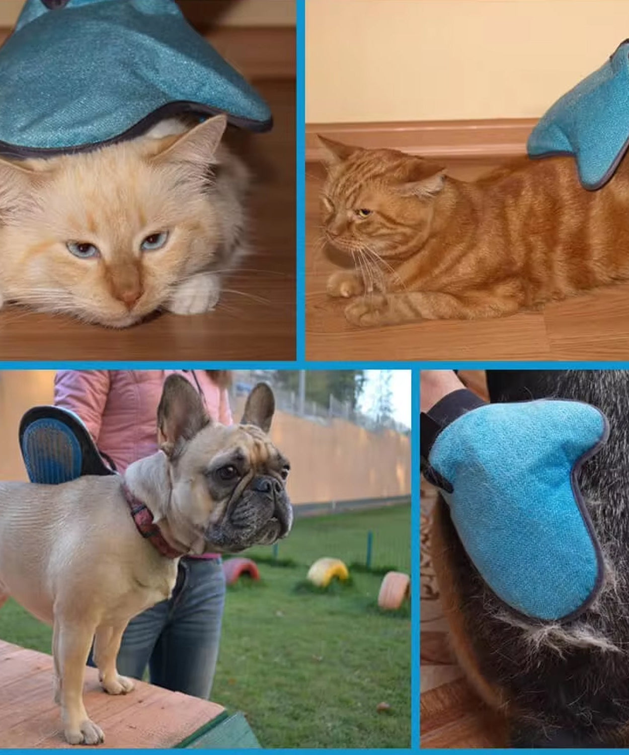 Pet Grooming Glove – Humanized Descending Brush (1 Pc)