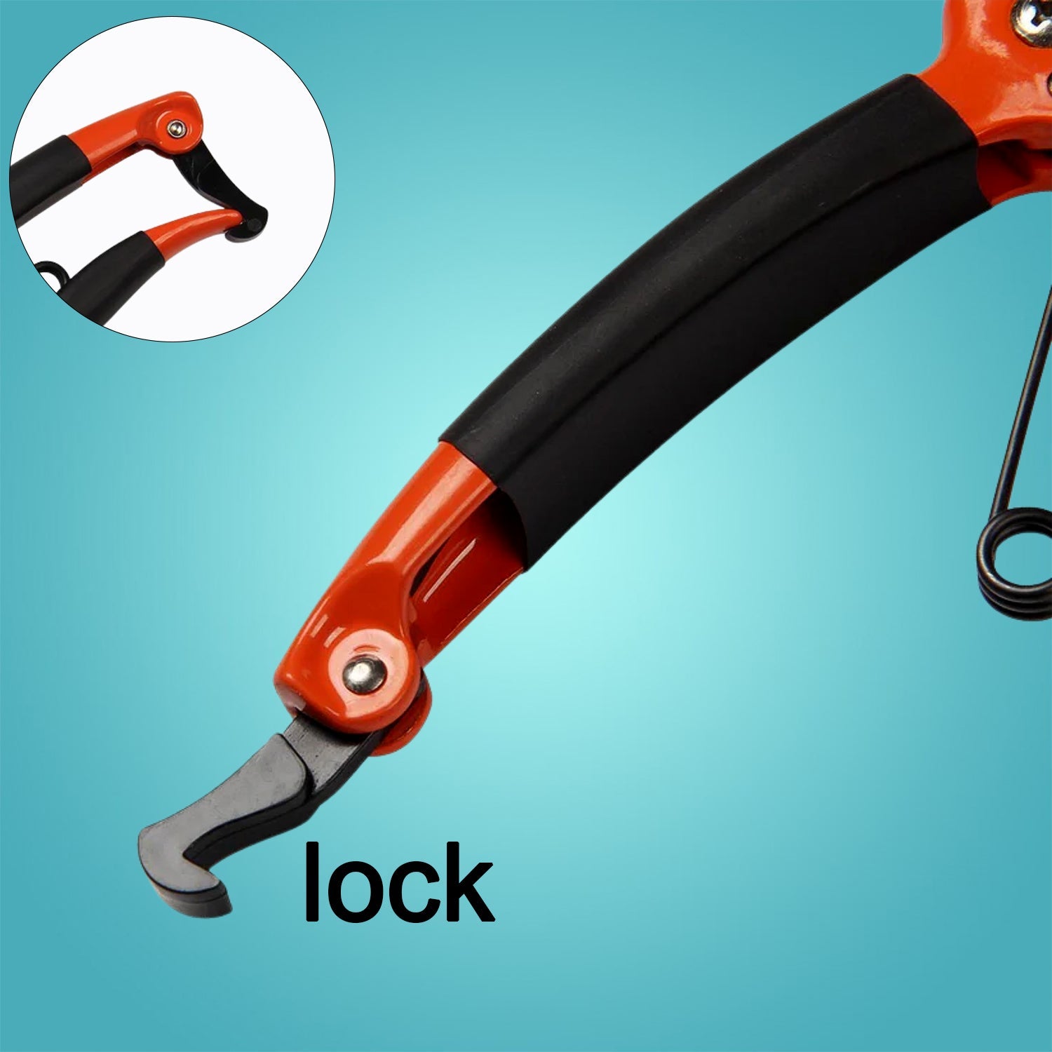 Tiger Garden Shears Pruners Scissor, flower cutter