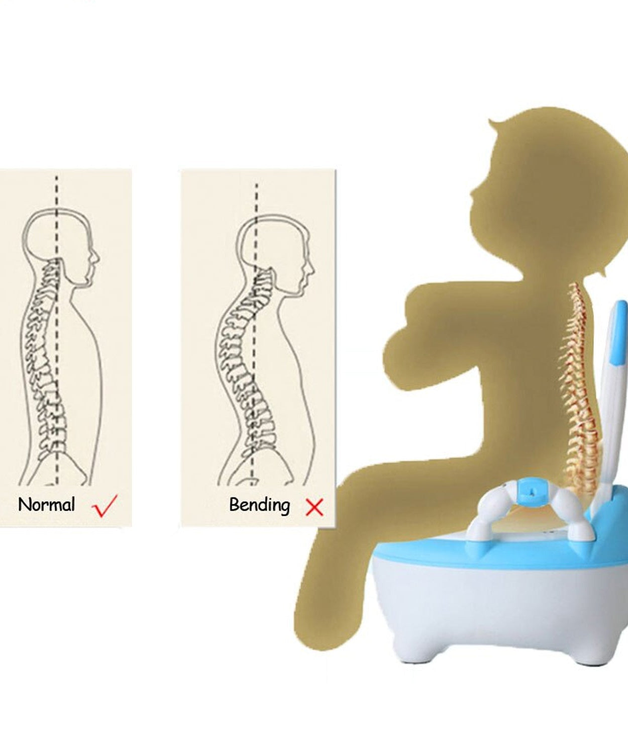 Potty training seat for 1+ year child