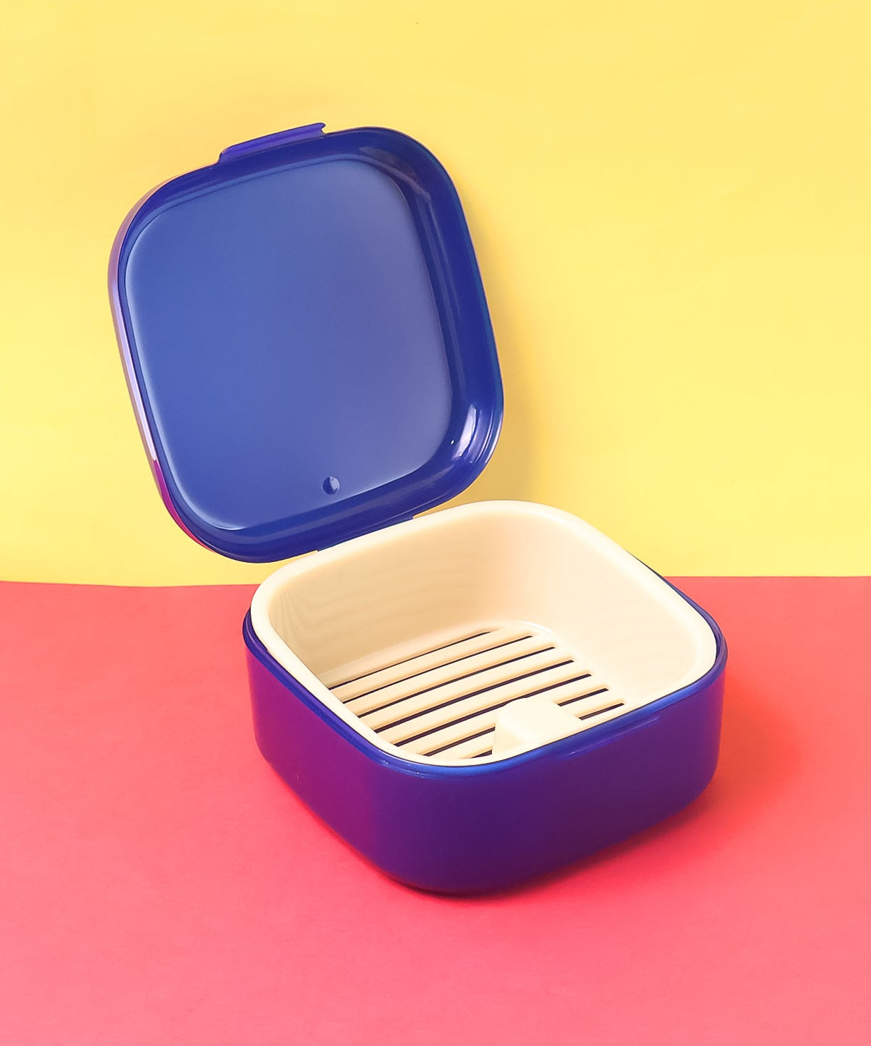 Oblivion Multi-Purpose Storage Box, DENTURE CASE (mix color & 1 Pc)