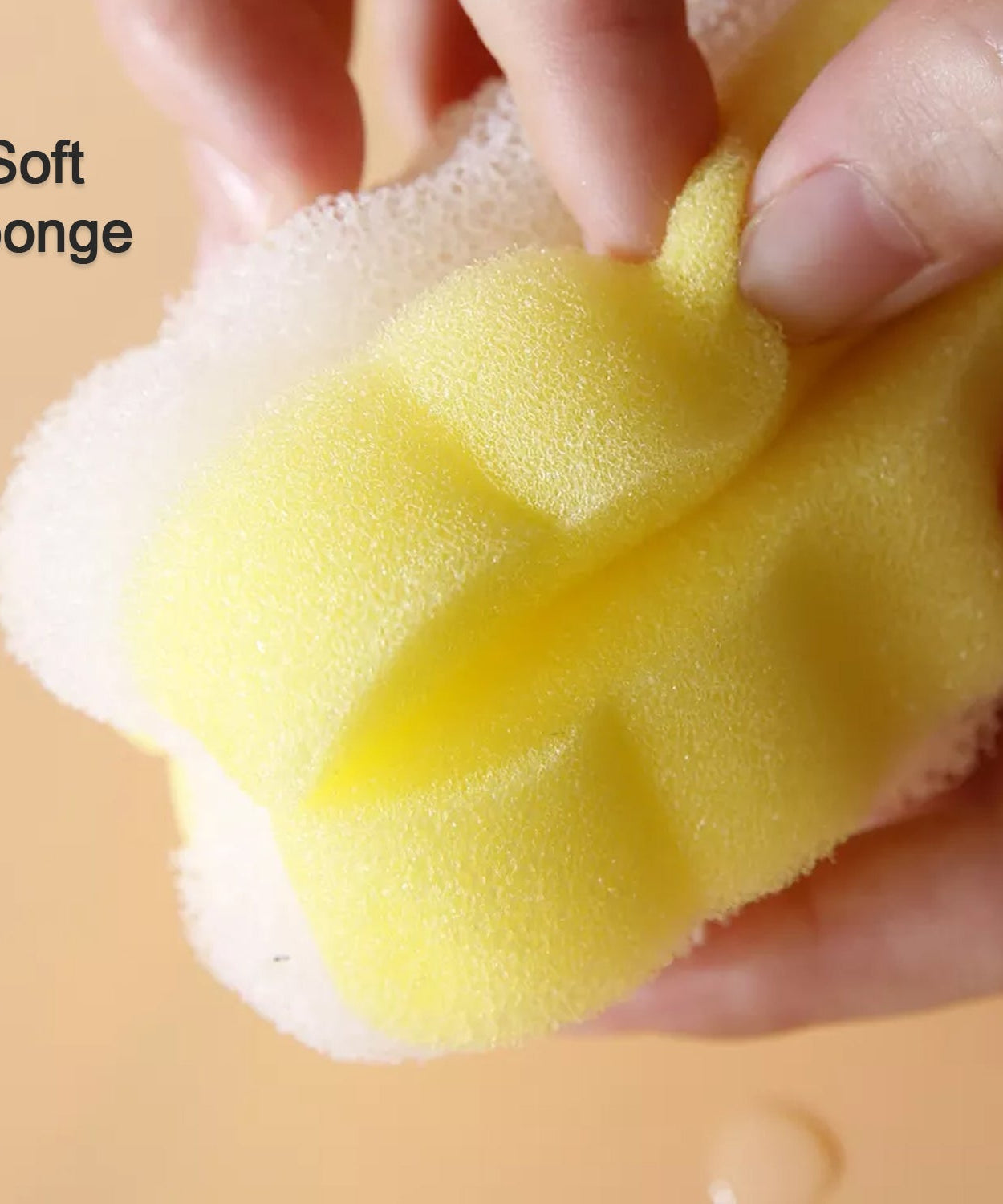 Household brush with sponge head for bottles