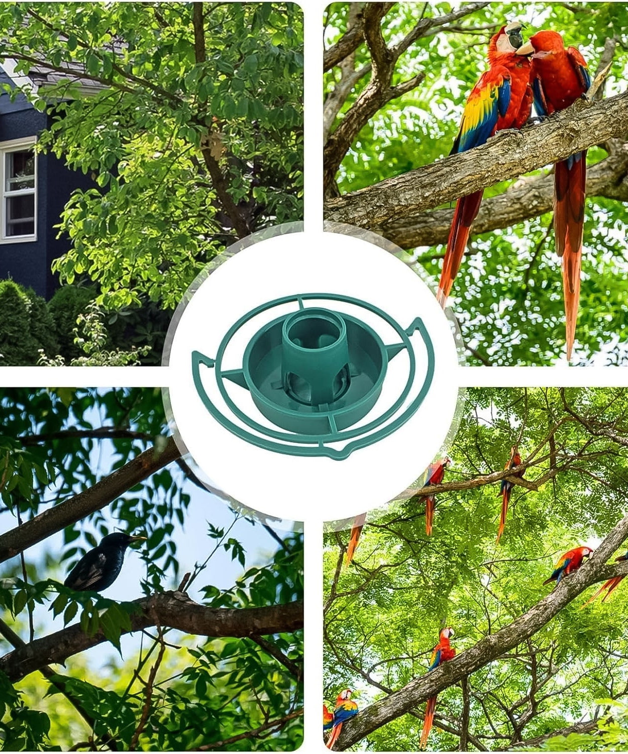 Outdoor Bird Feeder Hanging Plastic Hook (1 Pc)