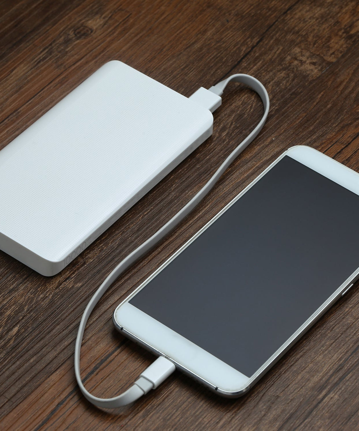 Micro USB charging cable for power banks.