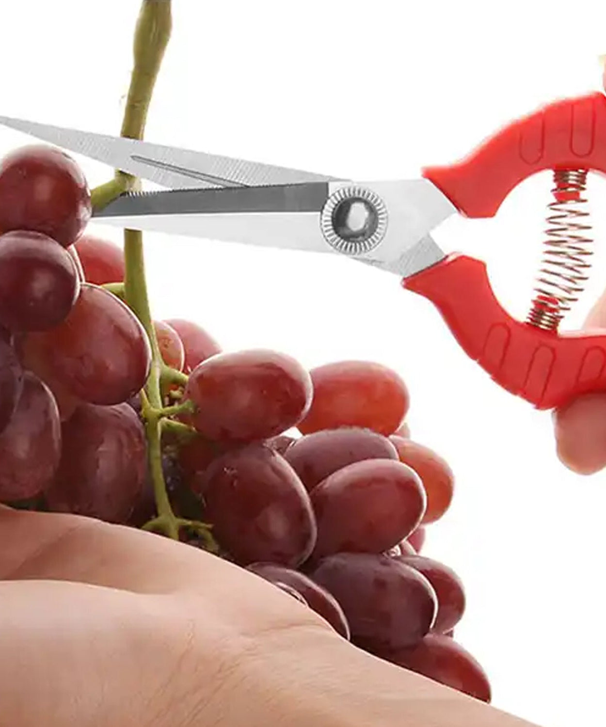 Trimming scissors with stainless steel blades, designed for efficient plant and flower care.
