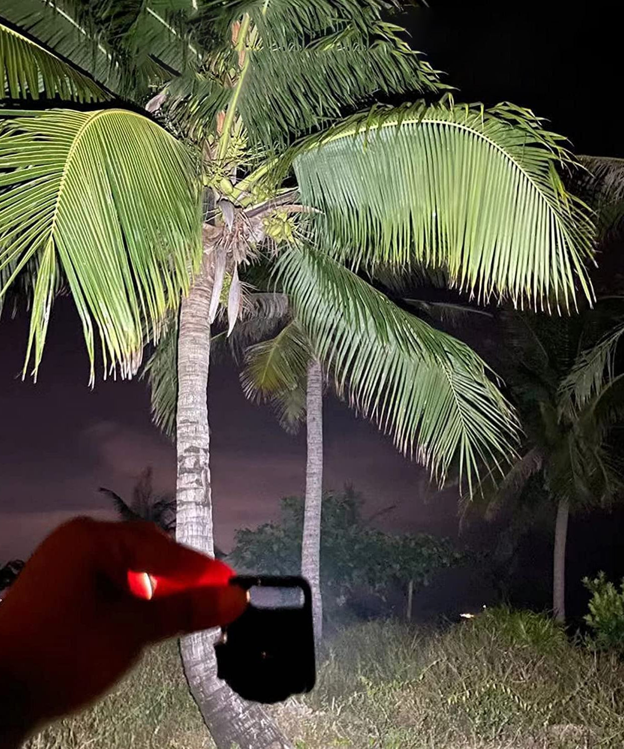 LED Battery Operated Keychain Flashlight with Folding Bracket Bottle Opener (1 Pc)