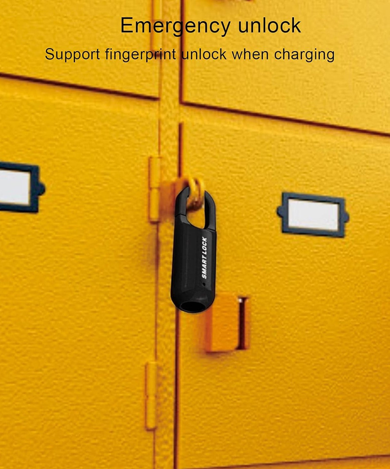 FingerSafe Padlock