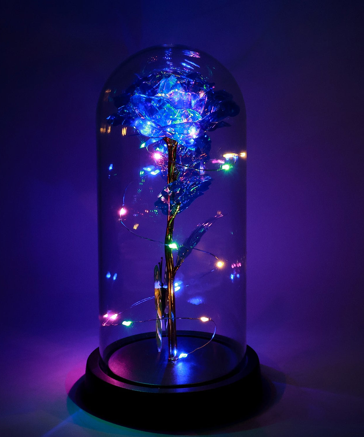 Soft Shine Enchanted Bloom