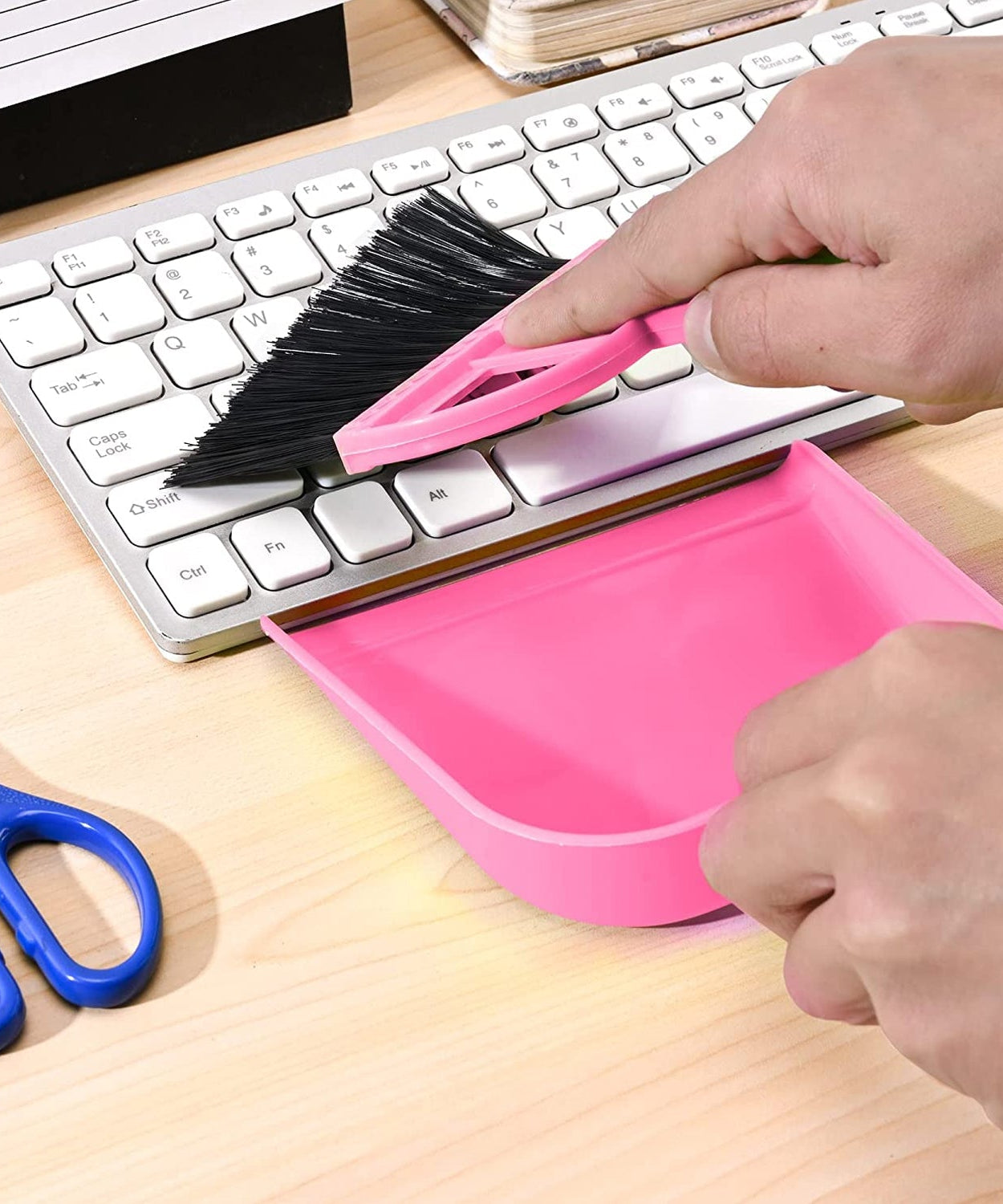 Large dustpan with brush for sweeping