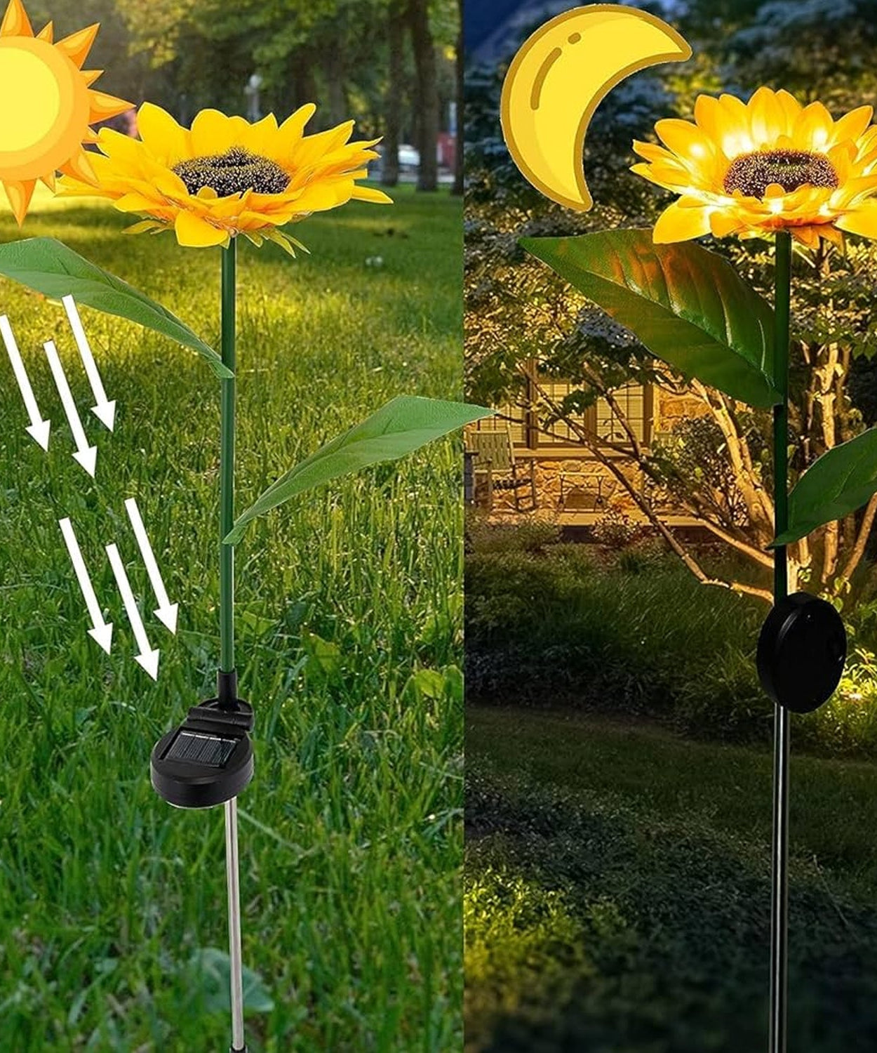 Solar Bloom Sunflower