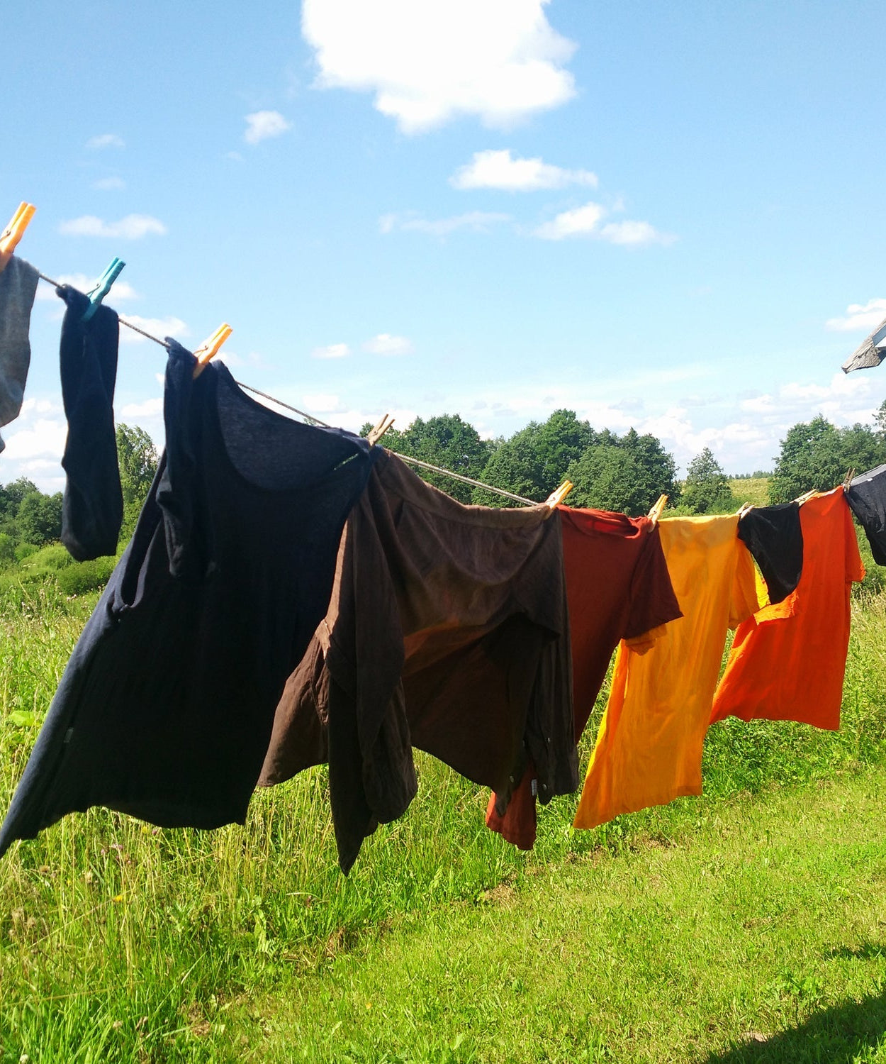 Multiuse drying wire