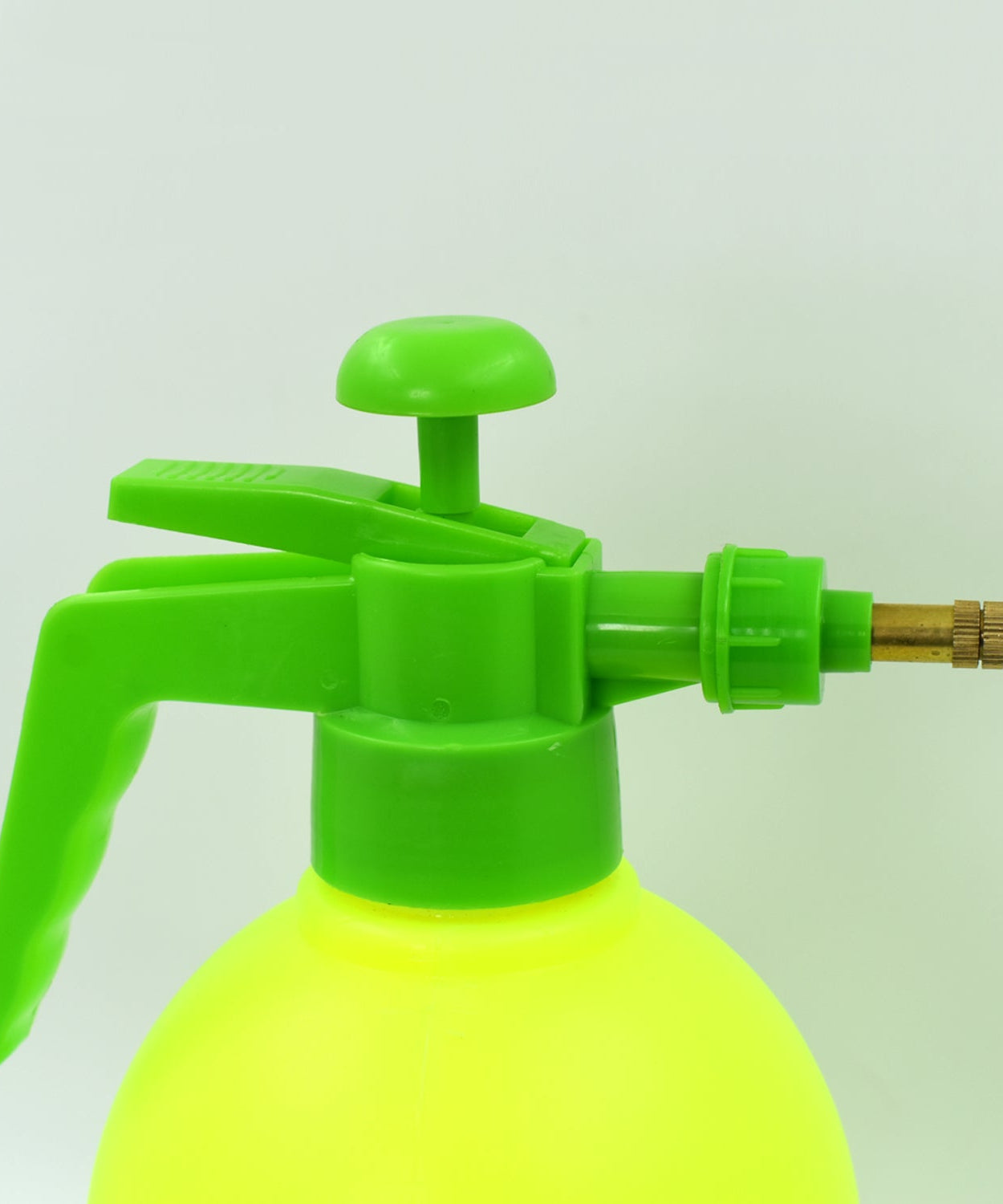 2-litre sprayer for efficient garden use