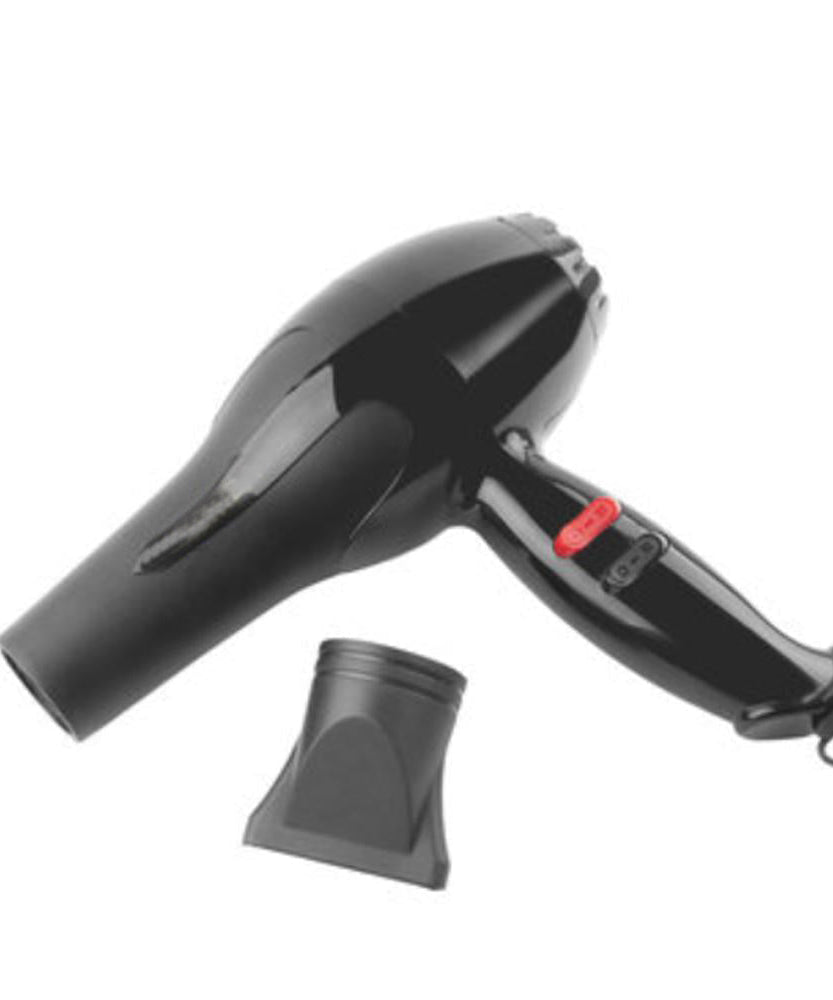 Professional hair dryer with sleek finish