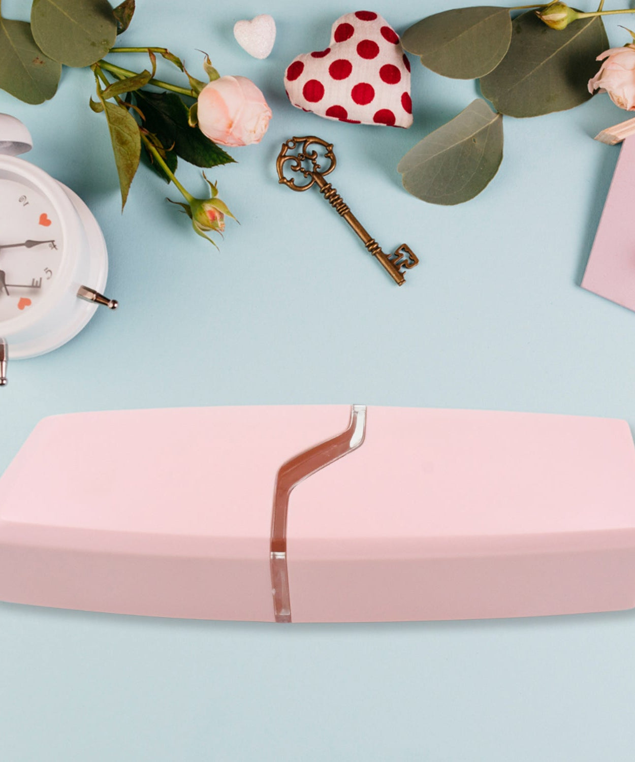 Travelling Toothbrush Case