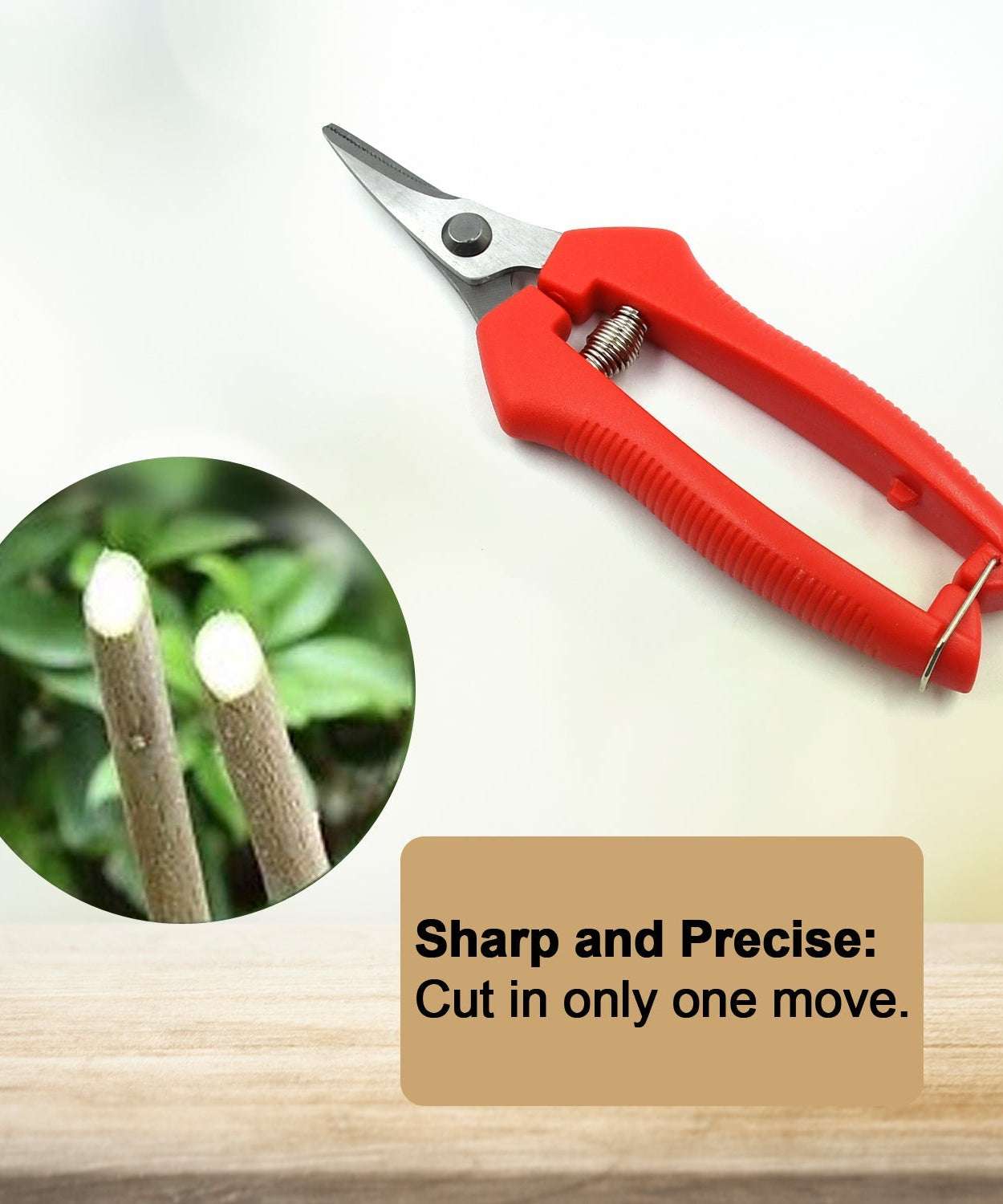 Durable stainless steel pruning scissors, ideal for cutting fruit trees and plants.
