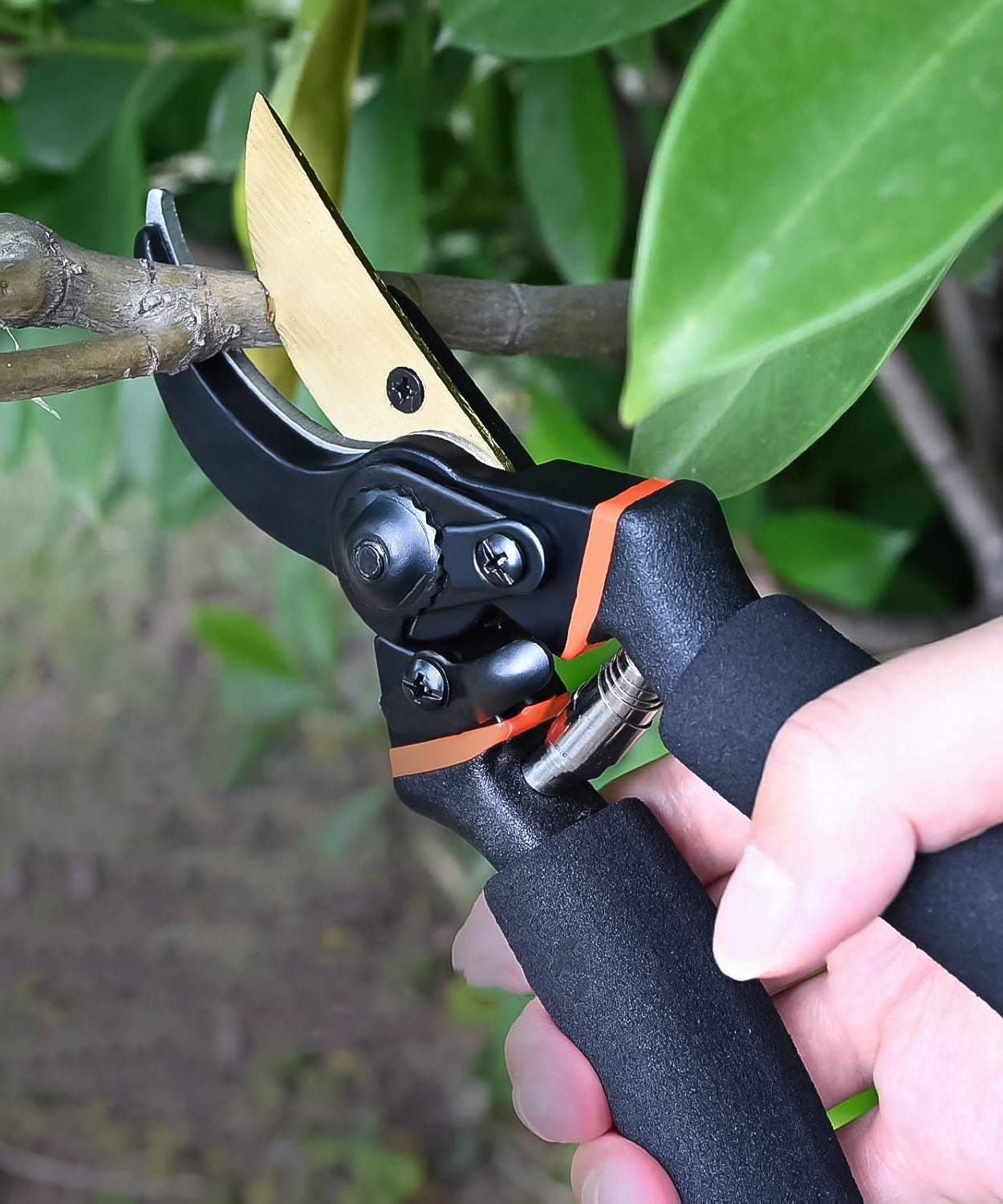 Heavy Duty Garden Pruning Shears (1 Pc)