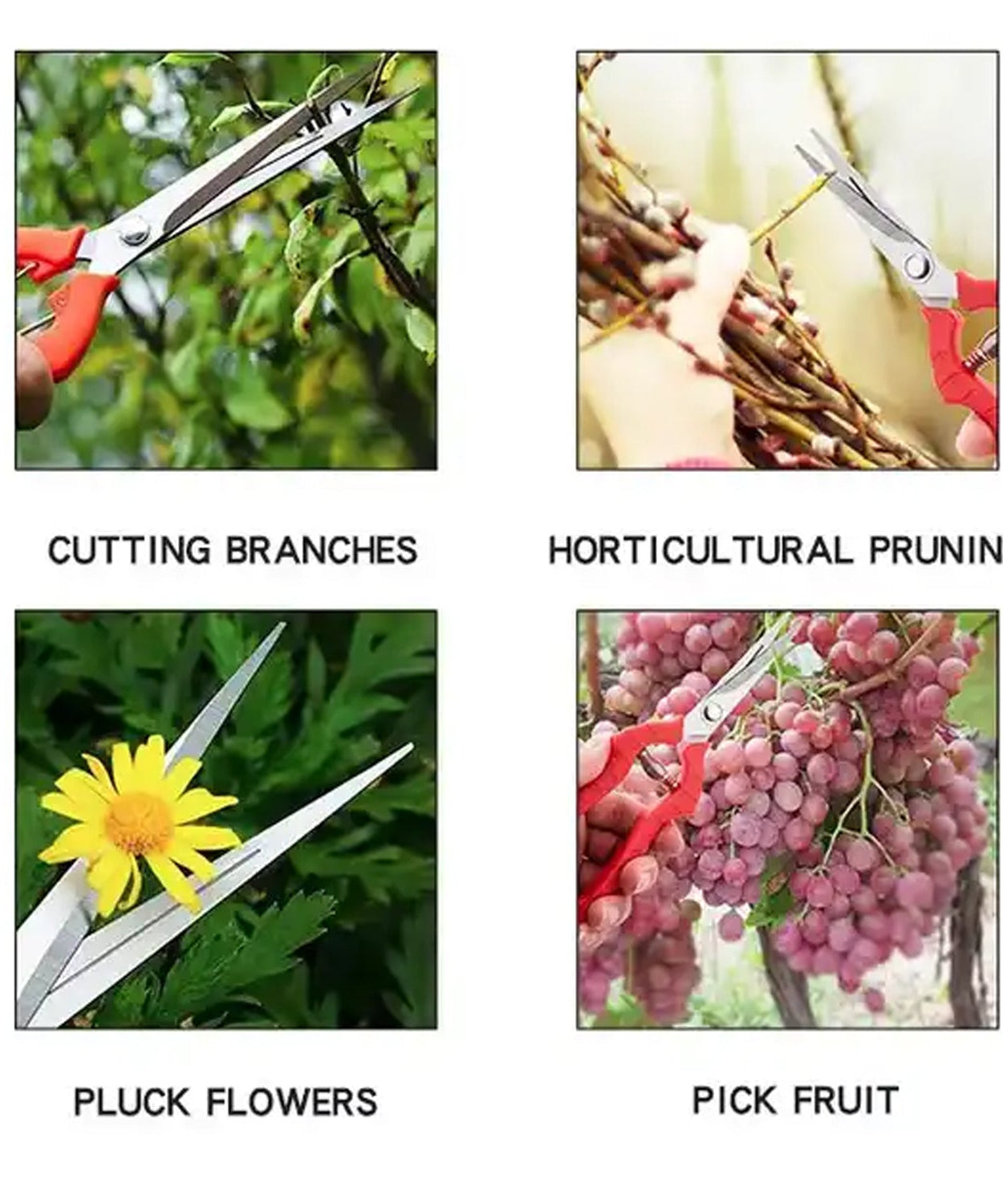 Durable stainless steel pruning scissors, with a non-slip grip for easy gardening.