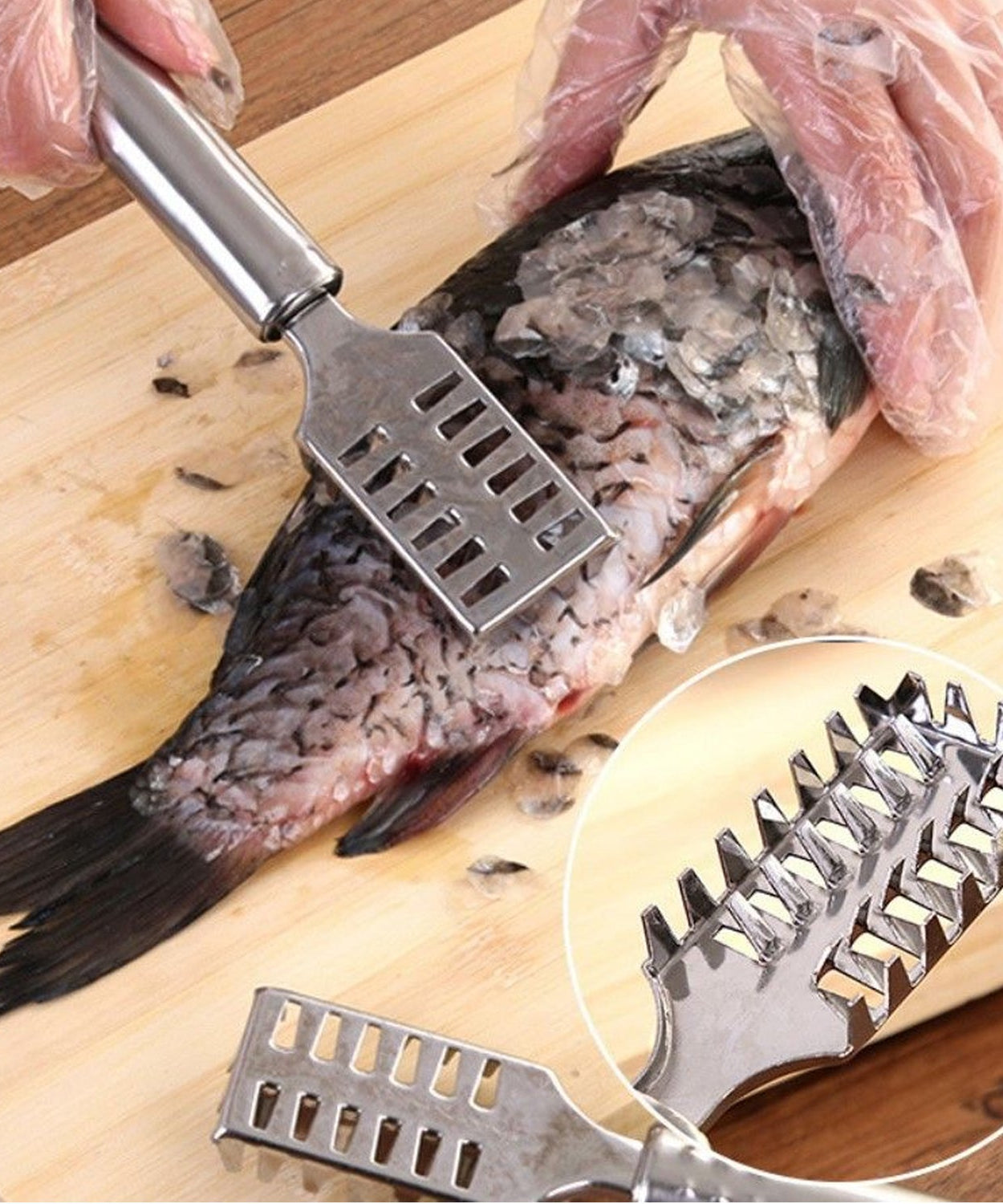 Stainless Steel Fish Scale Remover Scraper – Sawtooth Kitchen Tool