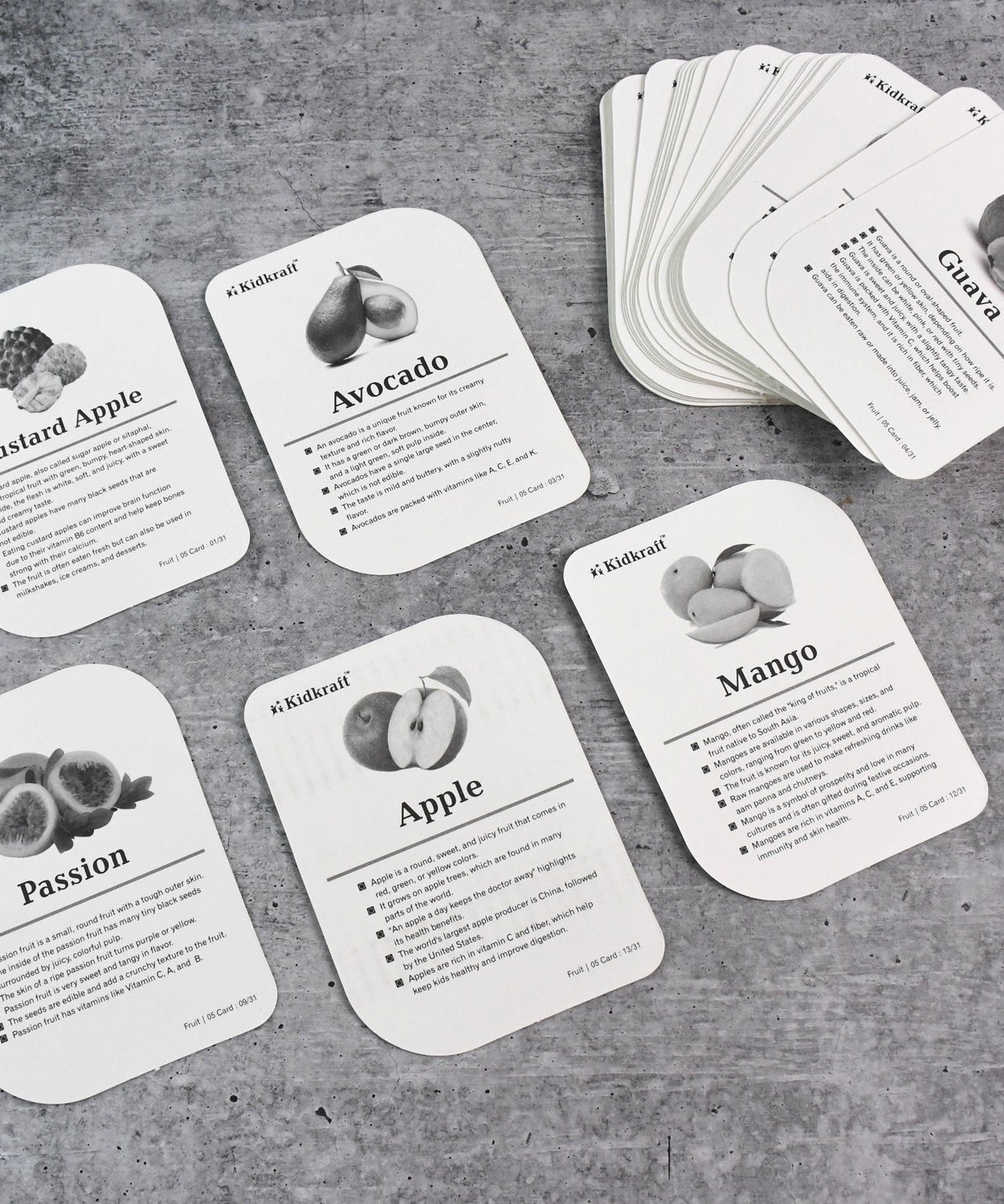 KidKraft Early Learner Educational Flashcards – 32 Birds