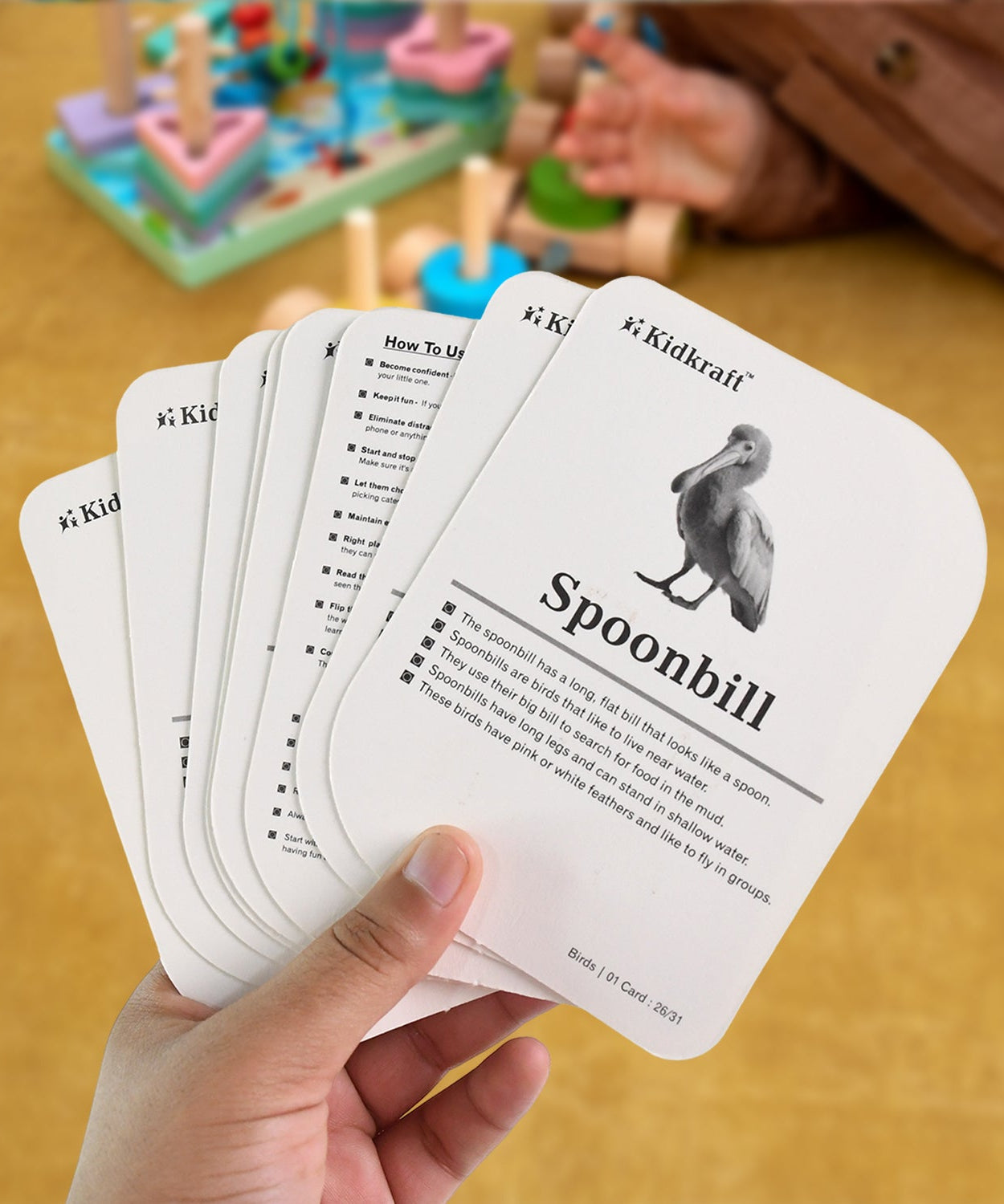 KidKraft Early Learner Educational Flashcards – 32 Birds