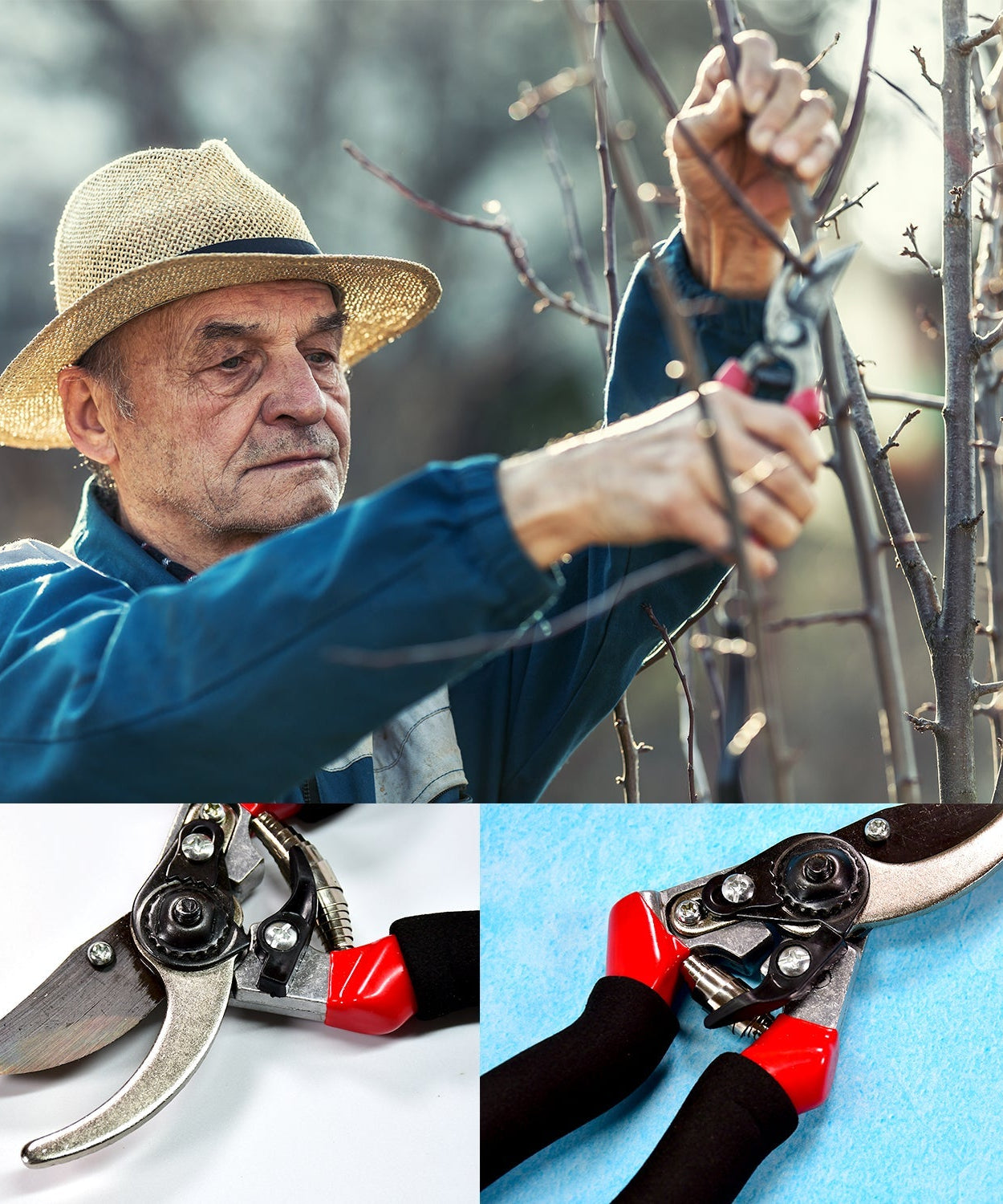 Red garden pruners, sharp cutter for trimming