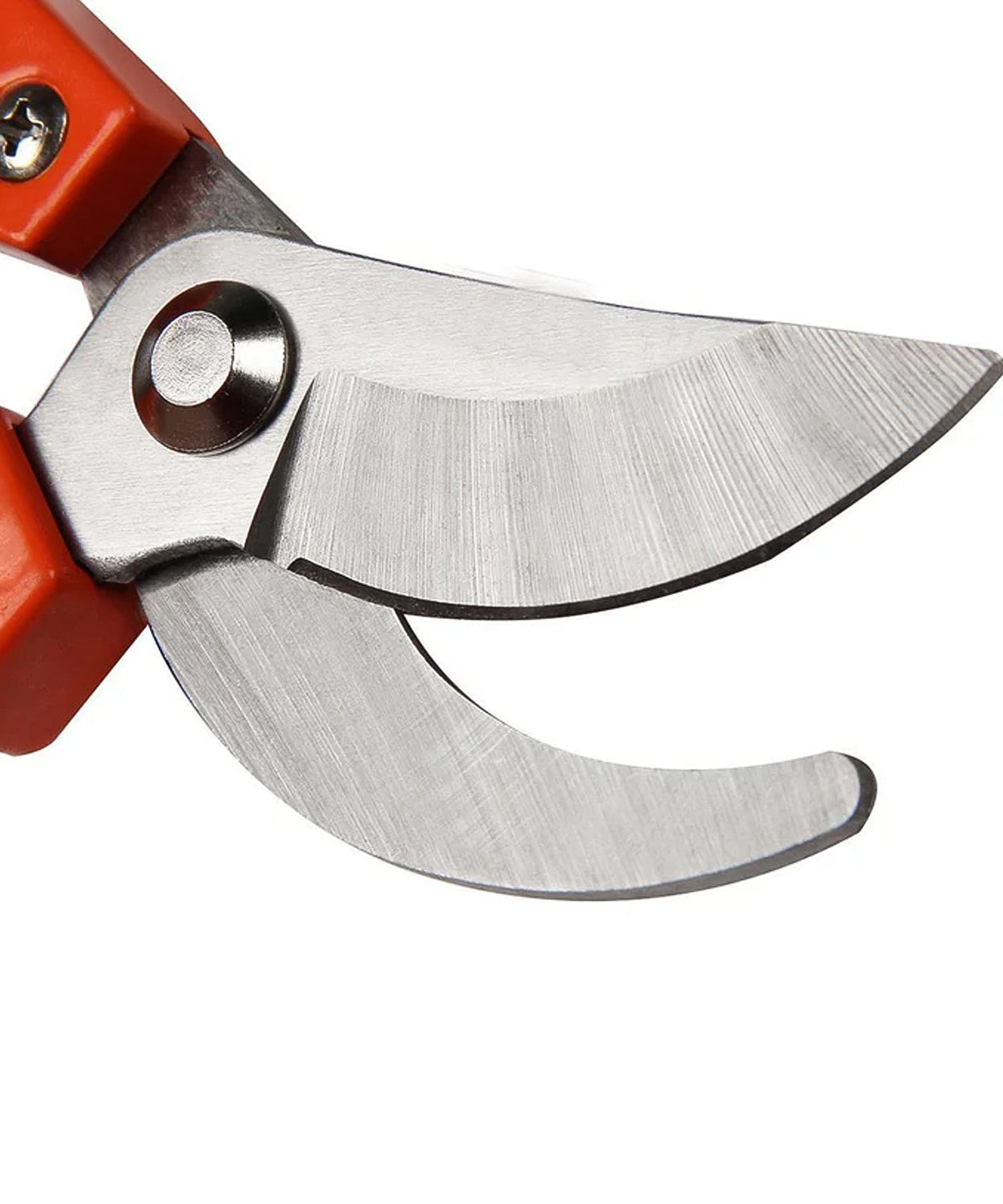 Tiger Garden Shears Pruners Scissor, flower cutter