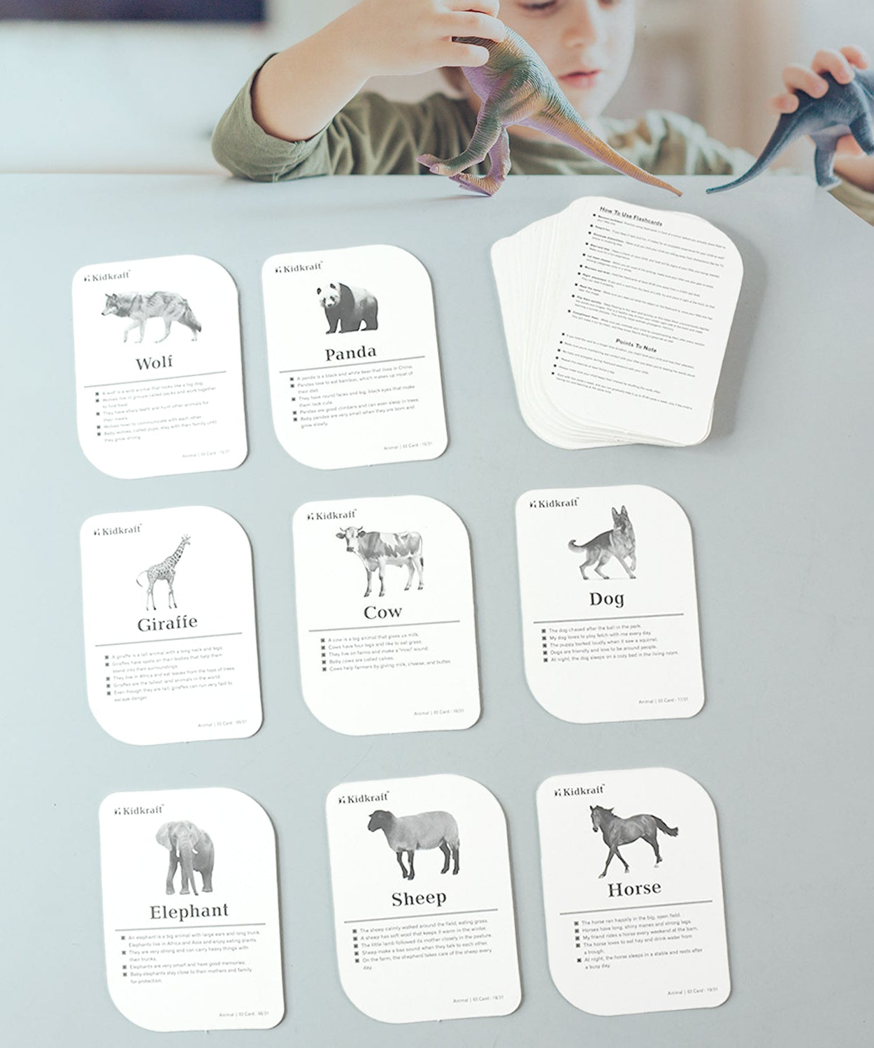 Kidkraft 32-Piece Animal Flash Cards Set