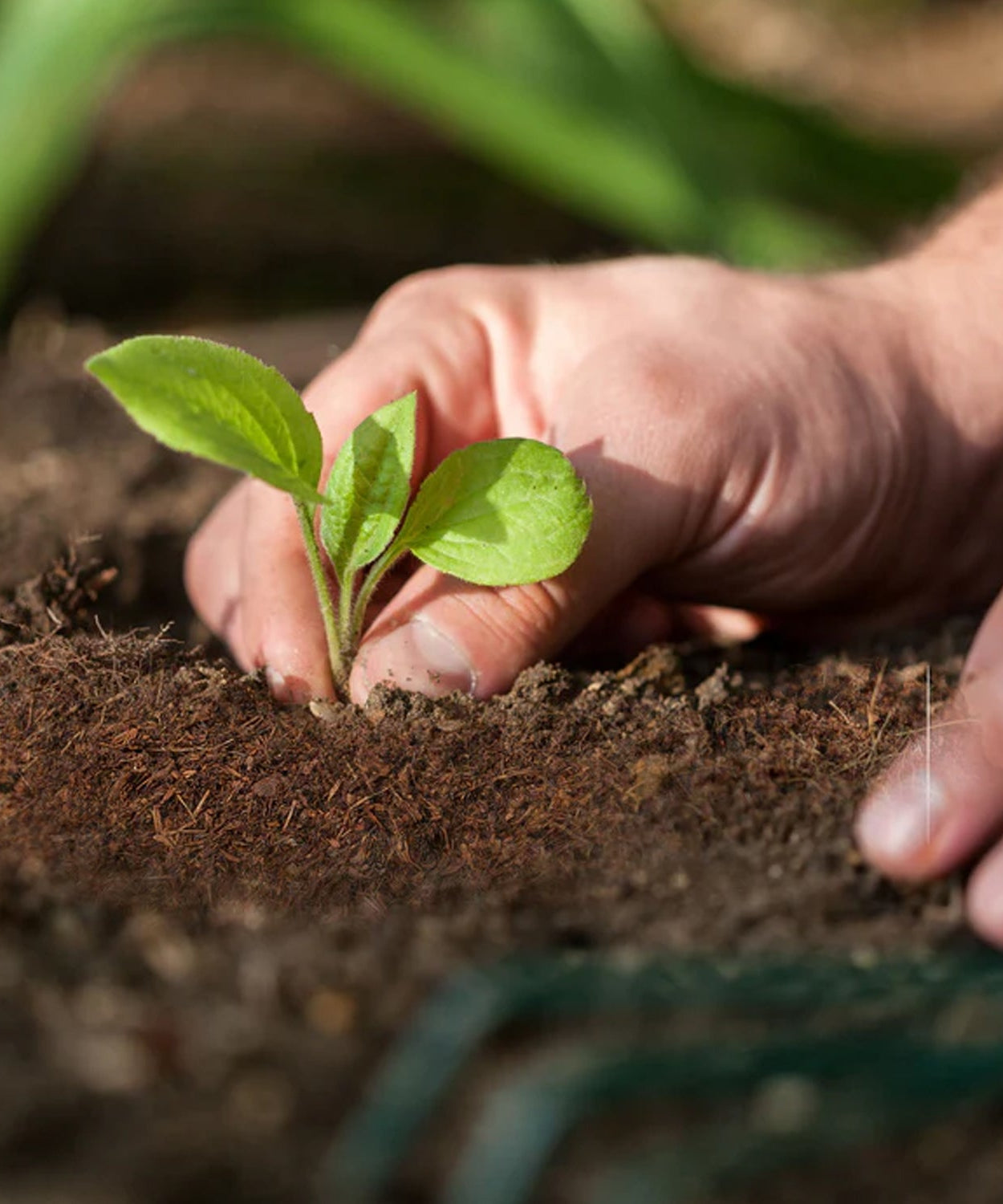 GreenCoco Fertilizer Block