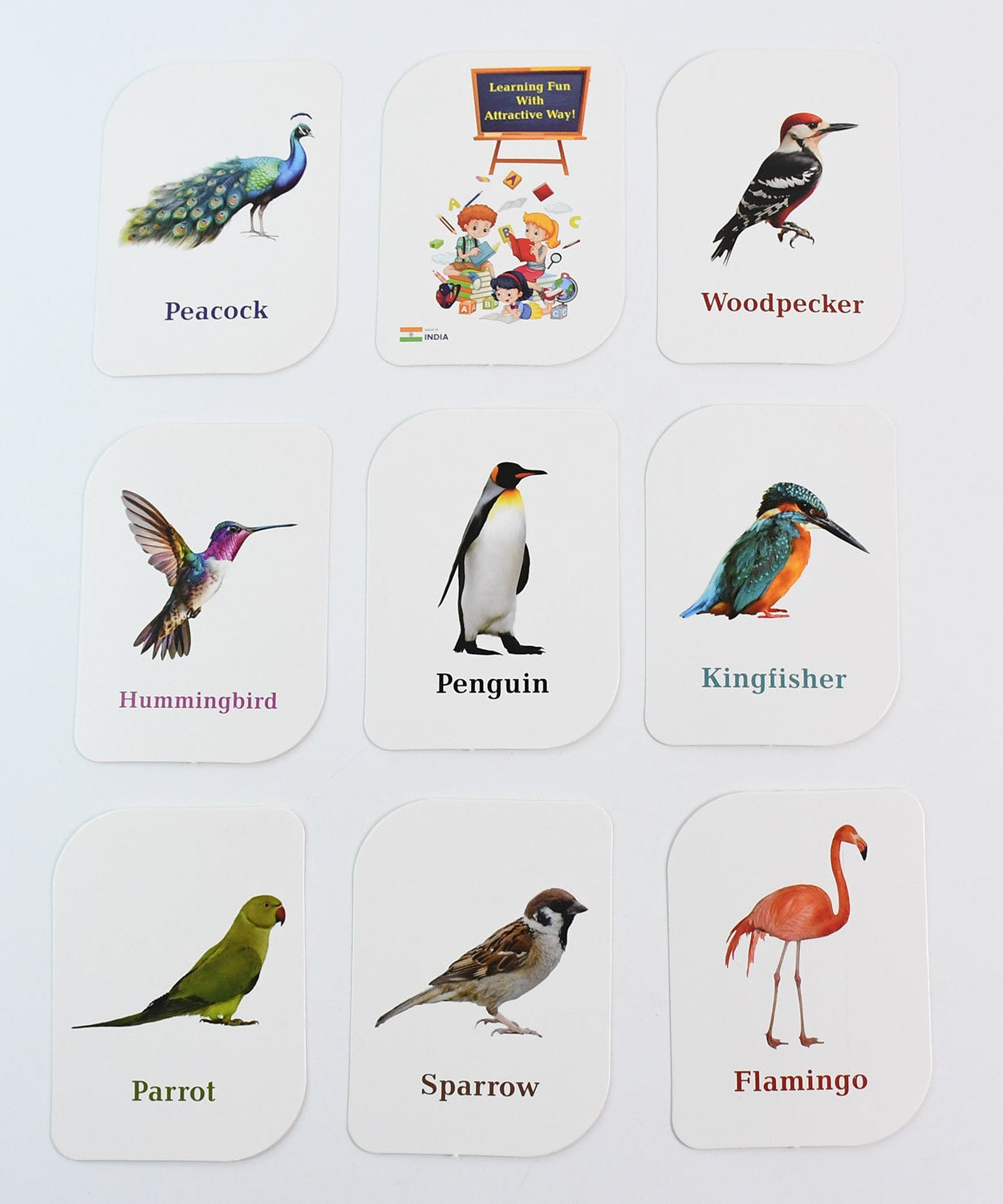 KidKraft Early Learner Educational Flashcards – 32 Birds