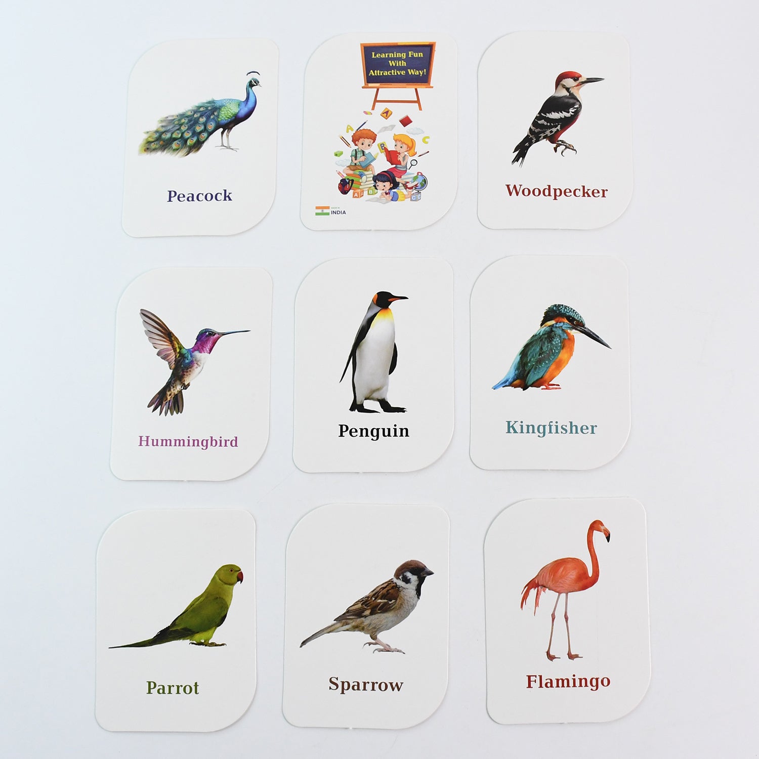 KidKraft Early Learner Educational Flashcards – 32 Birds