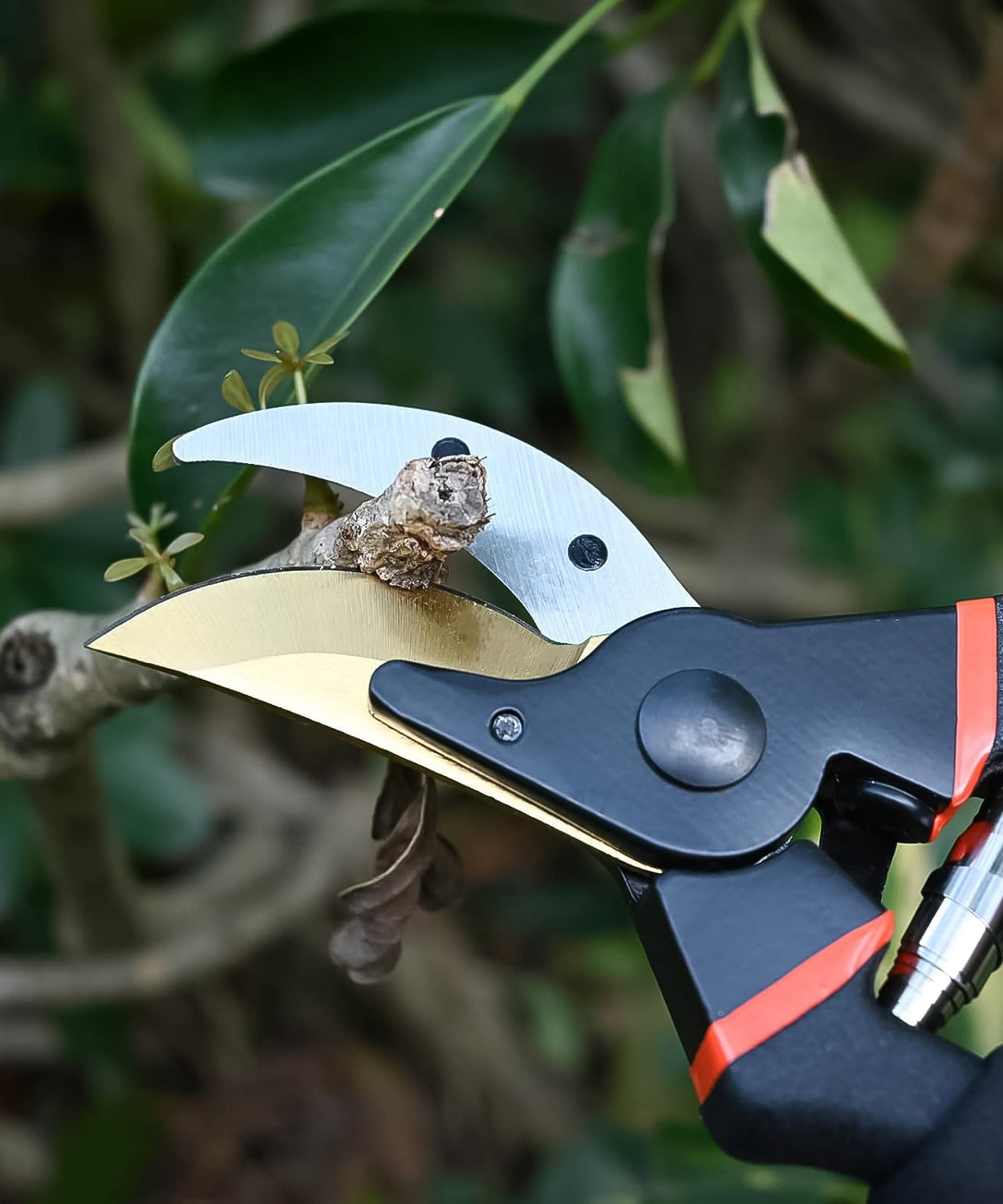 Heavy Duty Garden Pruning Shears (1 Pc)